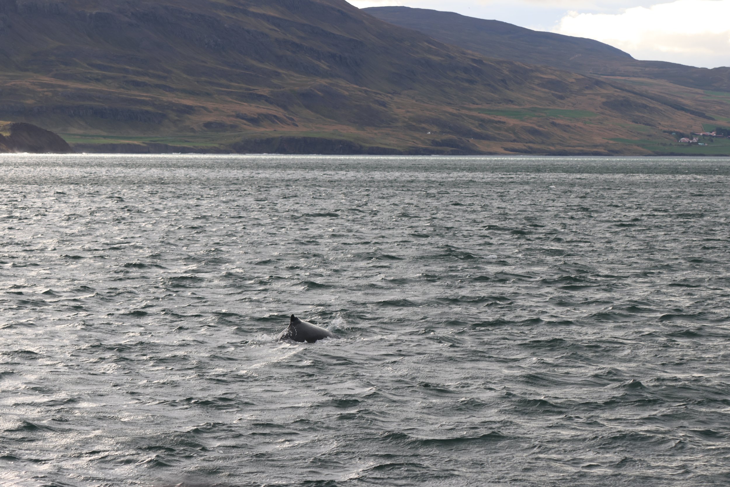 Sunday, 14th September 2025