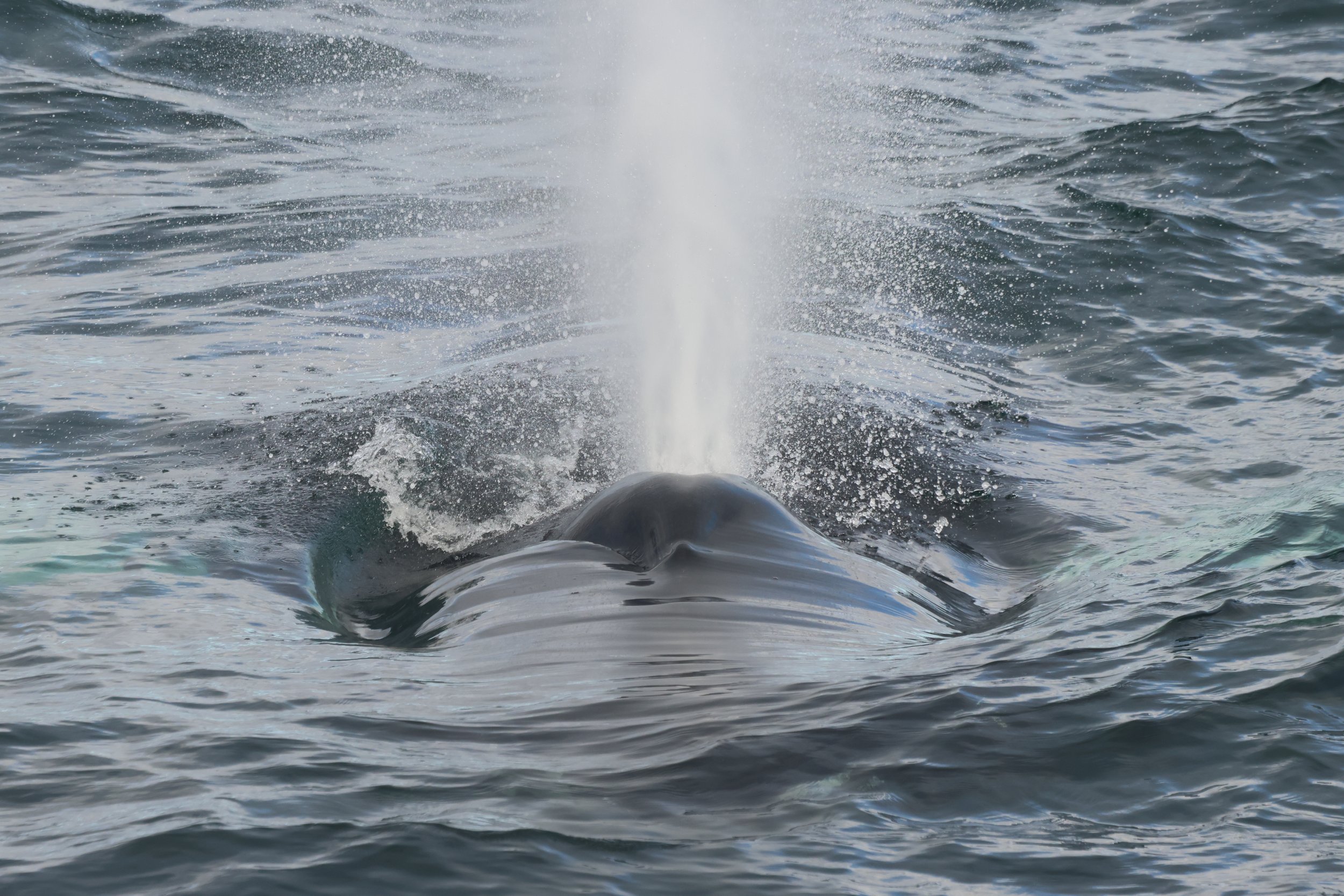 Tuesday, 16 September 2025