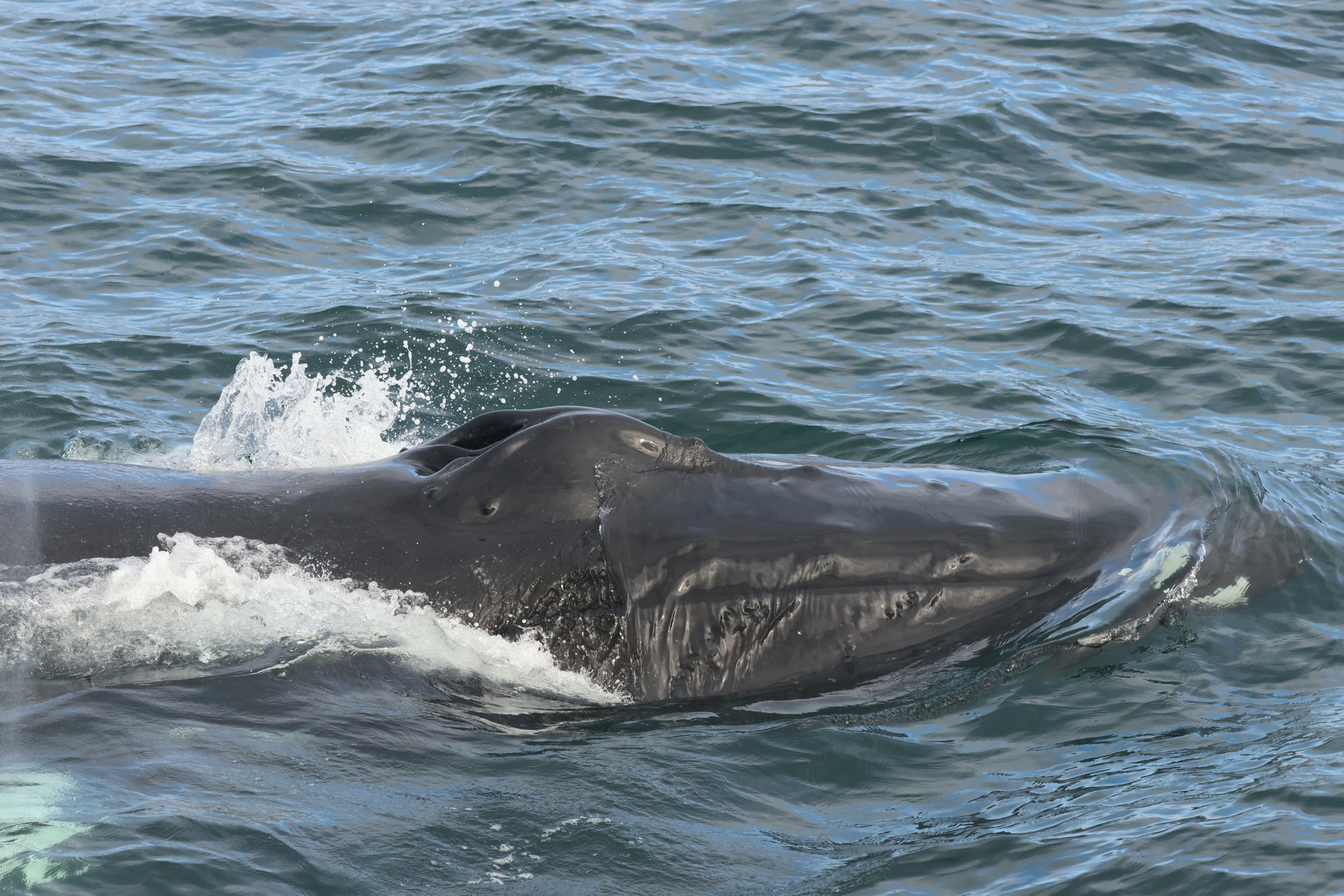 Tuesday, 16 September 2025