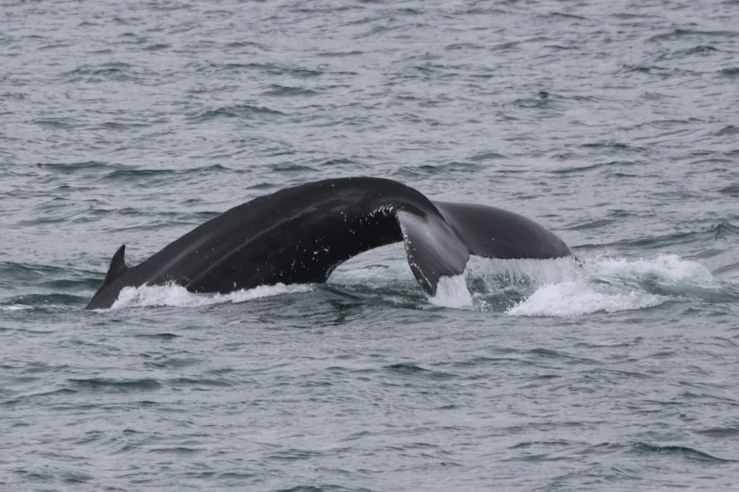 Tuesday, 16 September 2025