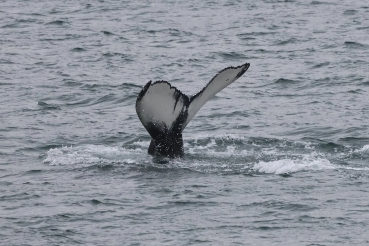 Tuesday, 16 September 2025