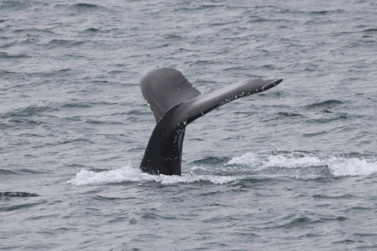 Tuesday, 16 September 2025