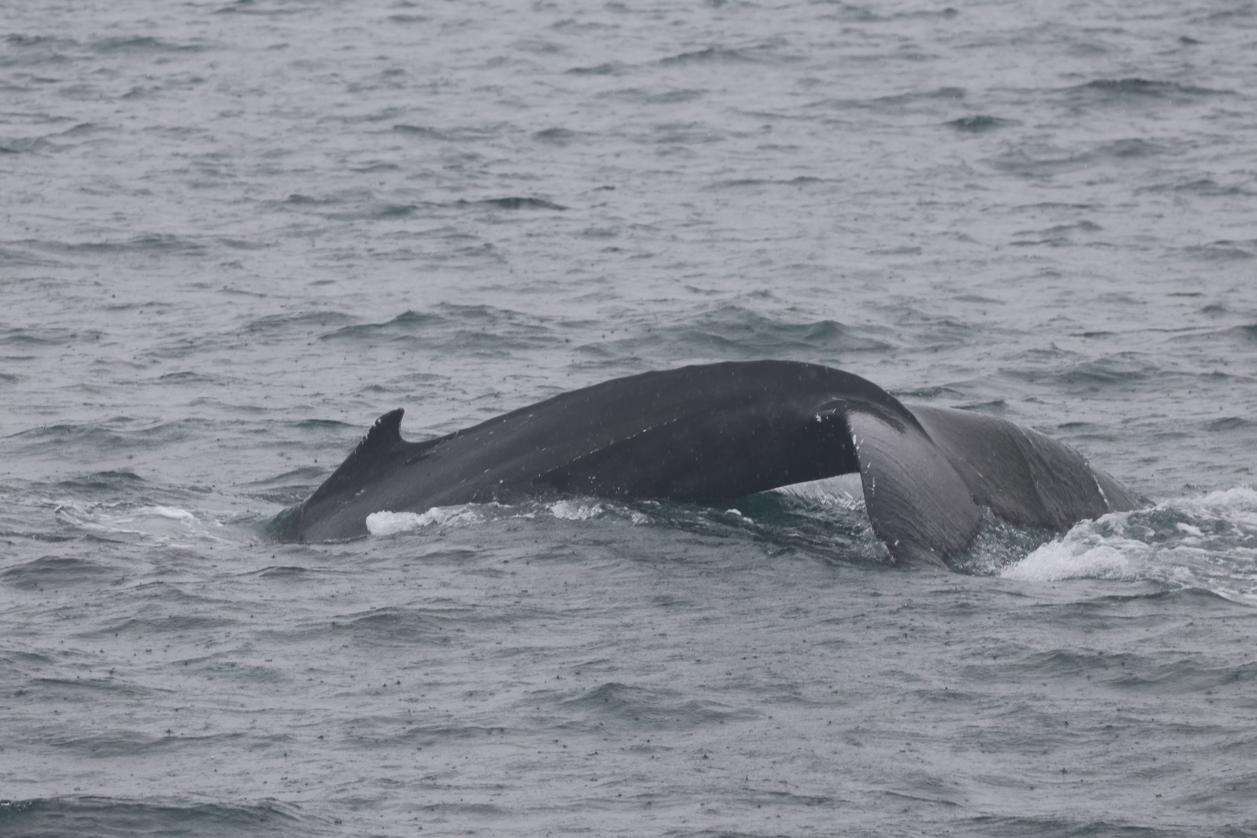 Thursday, 18 September 2025