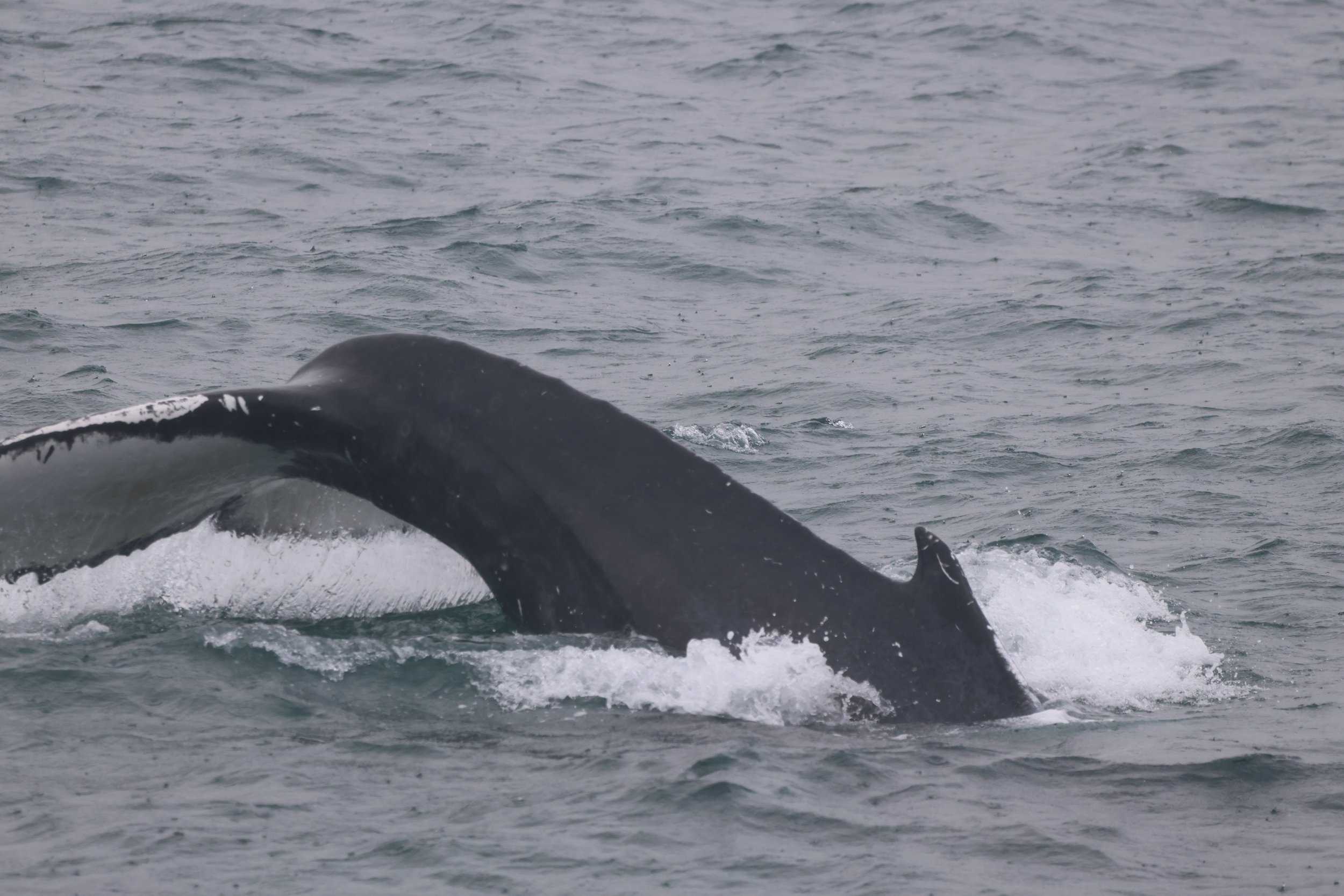 Thursday, 18 September 2025