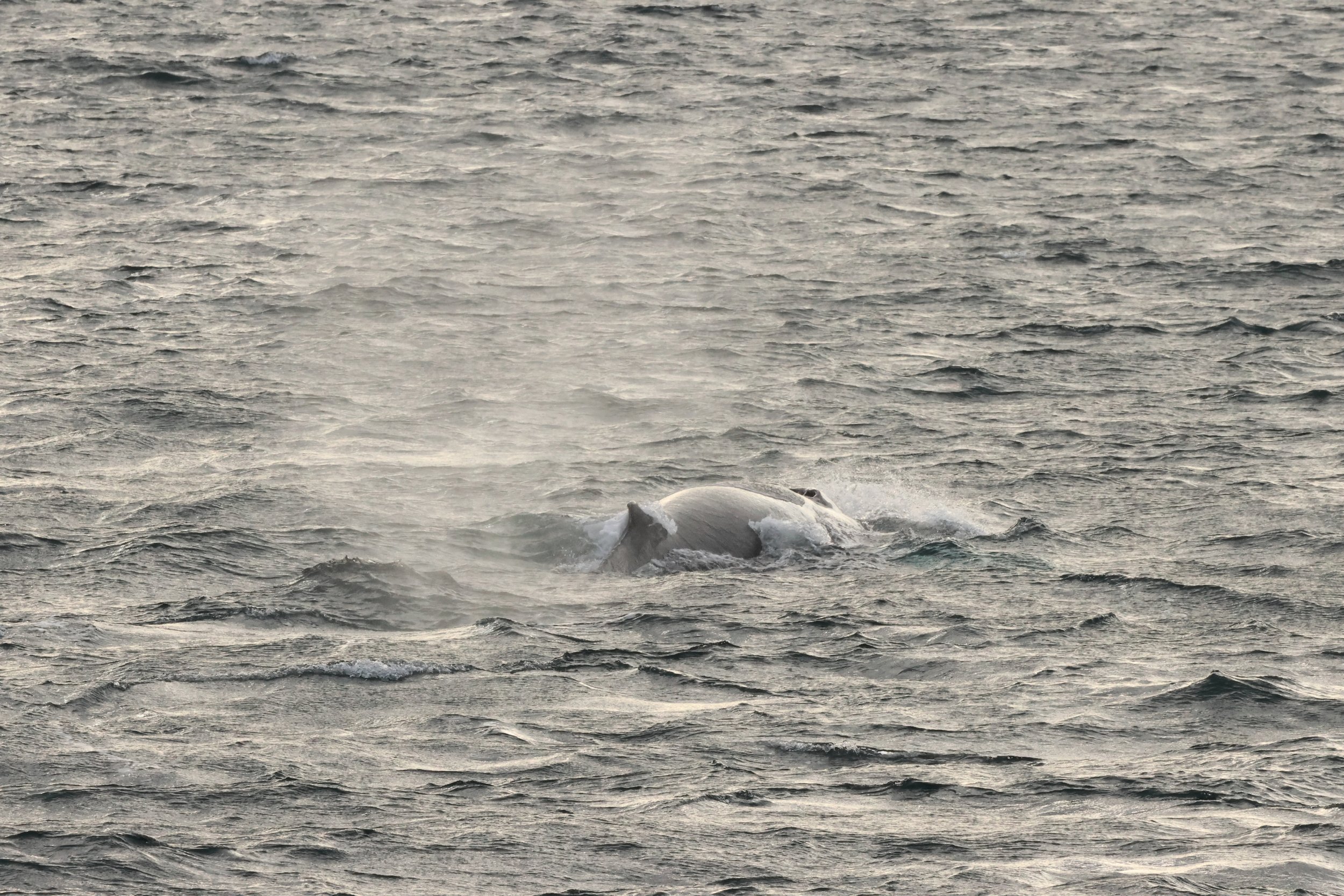 Tuesday, 23 September 2025