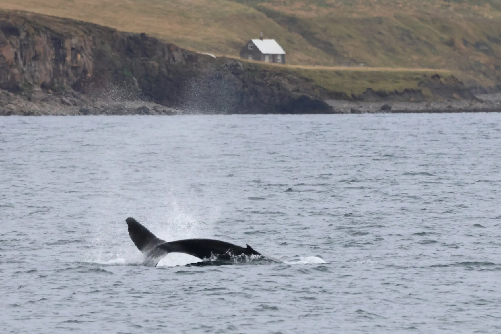 Tuesday, 23 September 2025