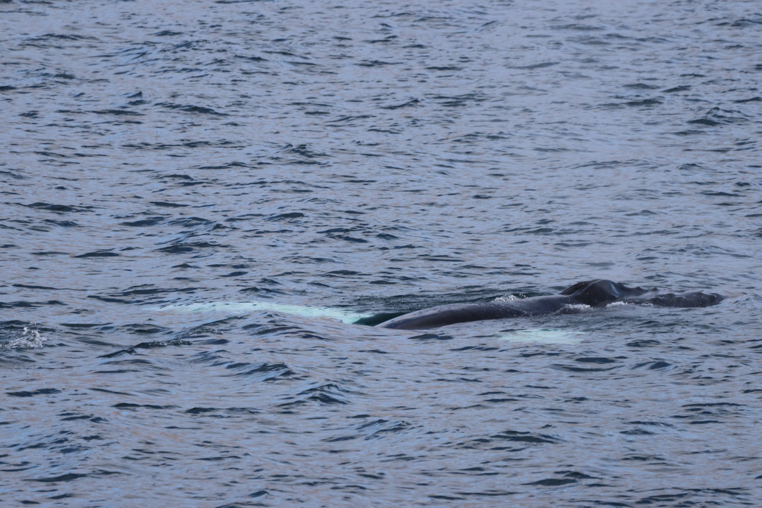 Wednesday, 24 September 2025