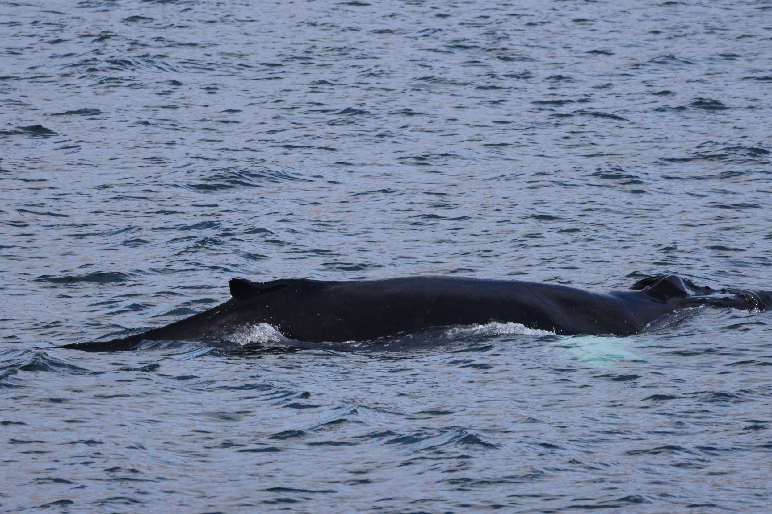 Wednesday, 24 September 2025