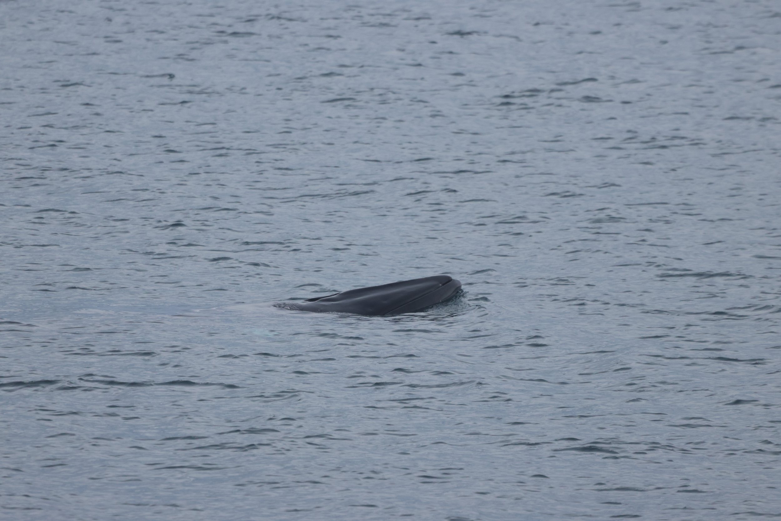 Monday, 29 September 2025