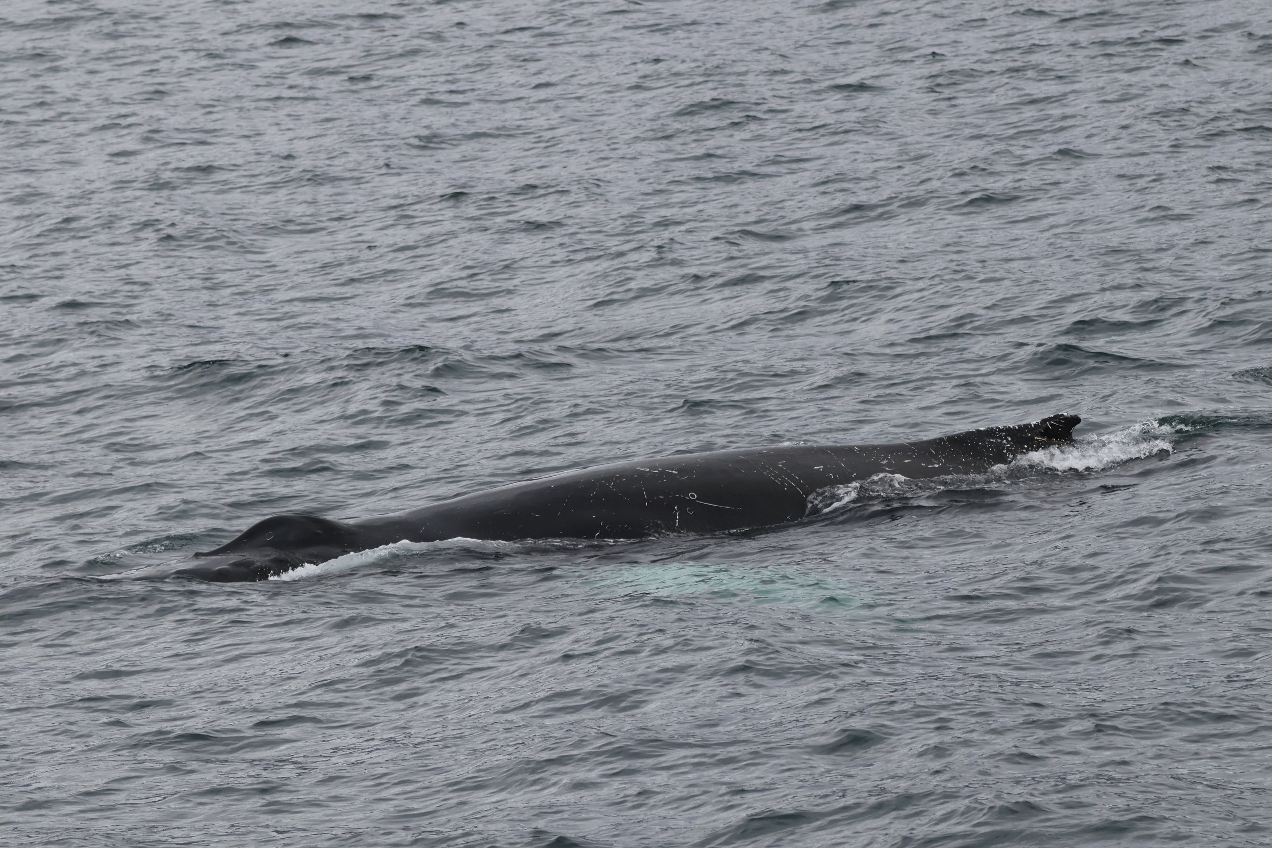 Monday, 6 October 2025