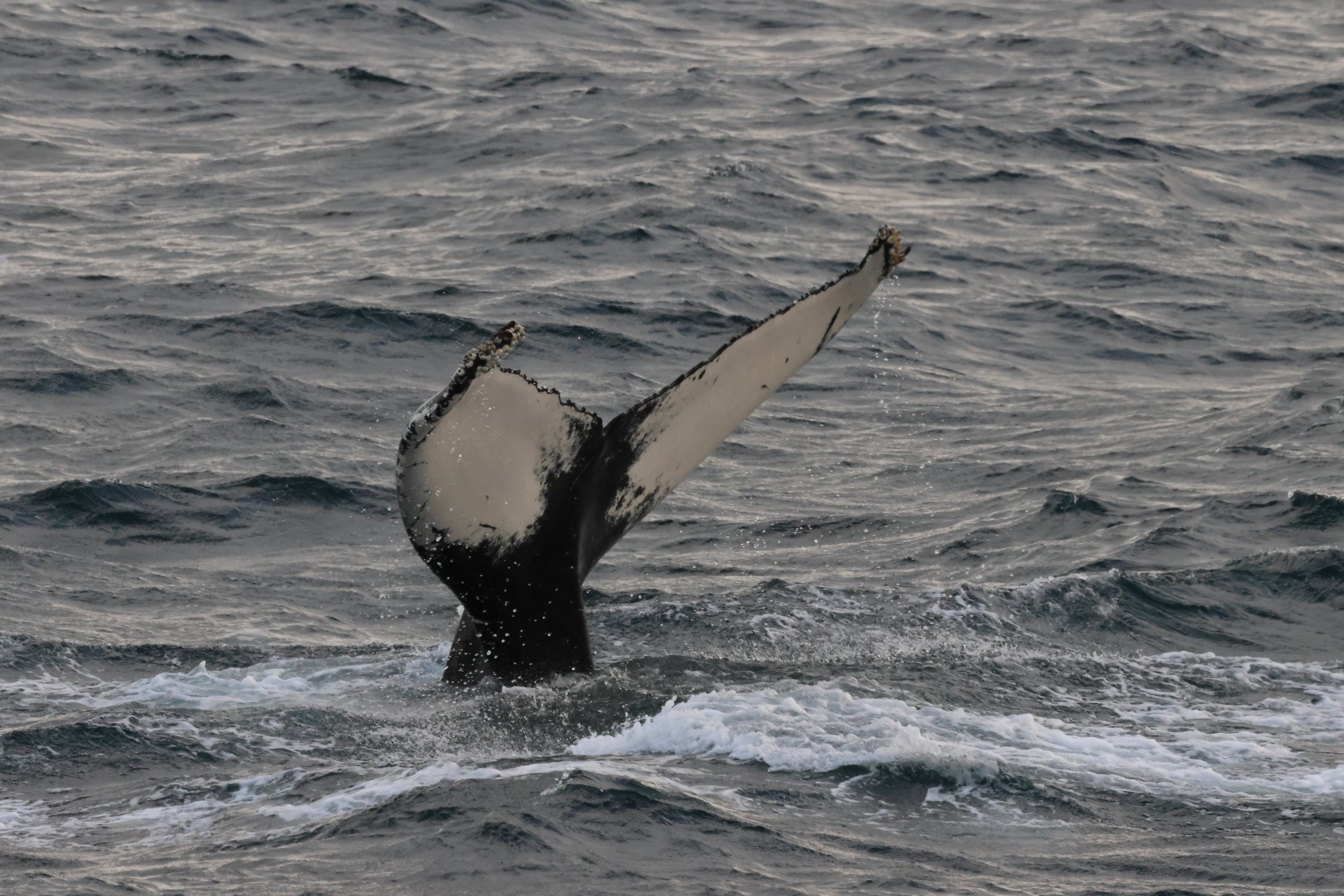 Wednesday, 8 October 2025