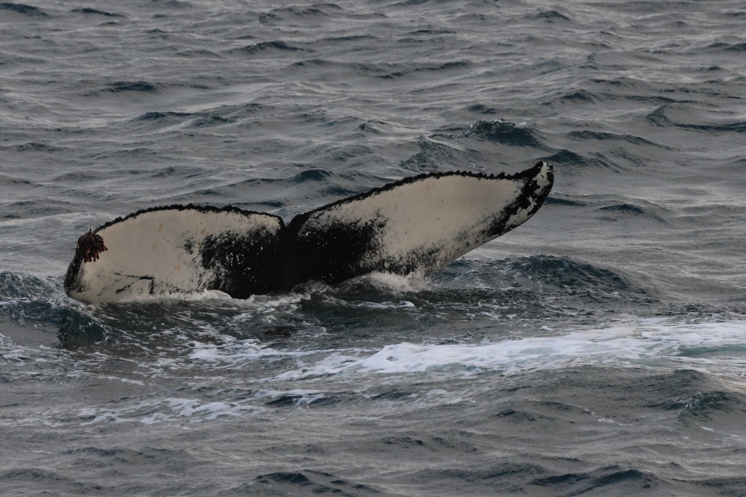 Wednesday, 8 October 2025