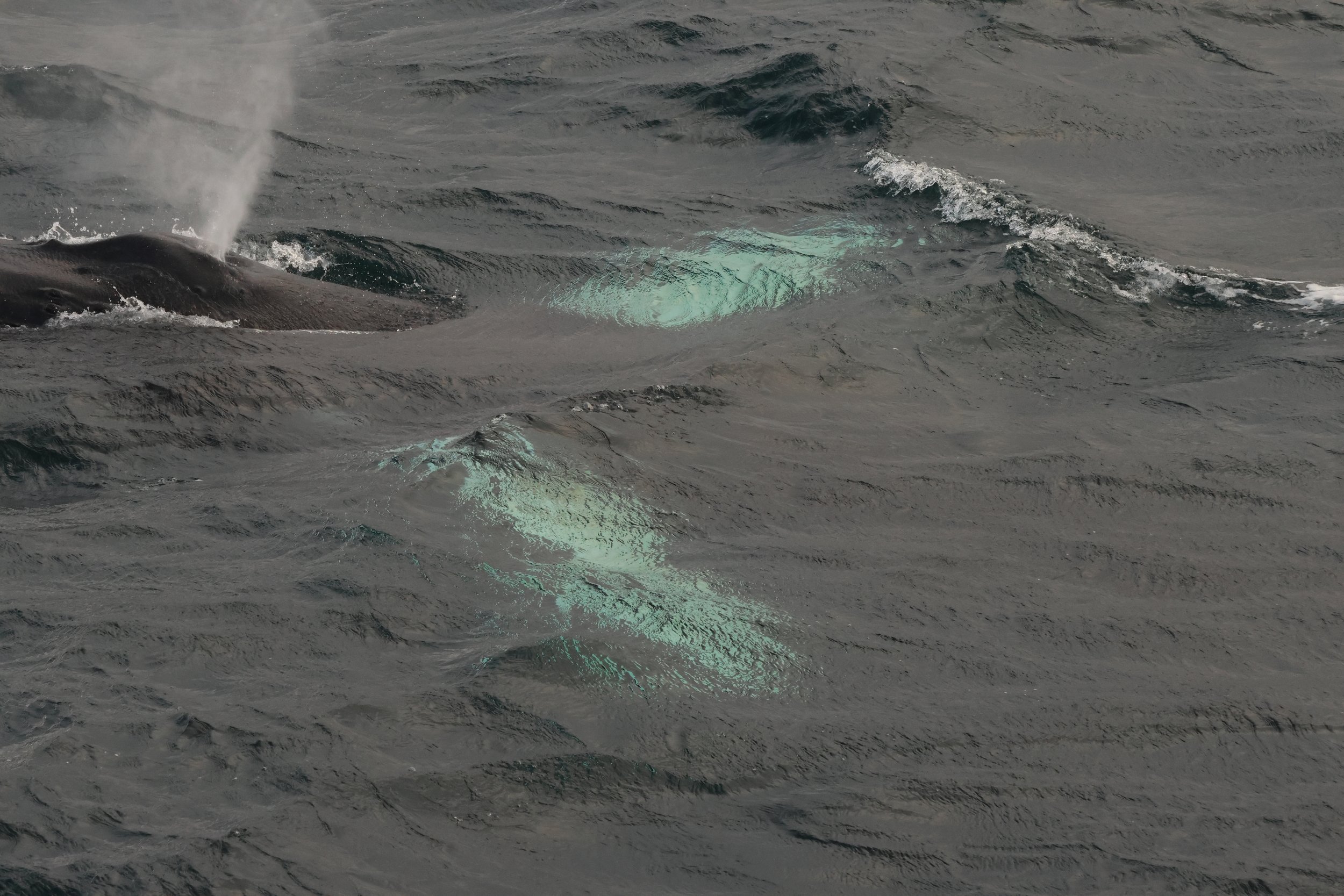 Wednesday, 8 October 2025