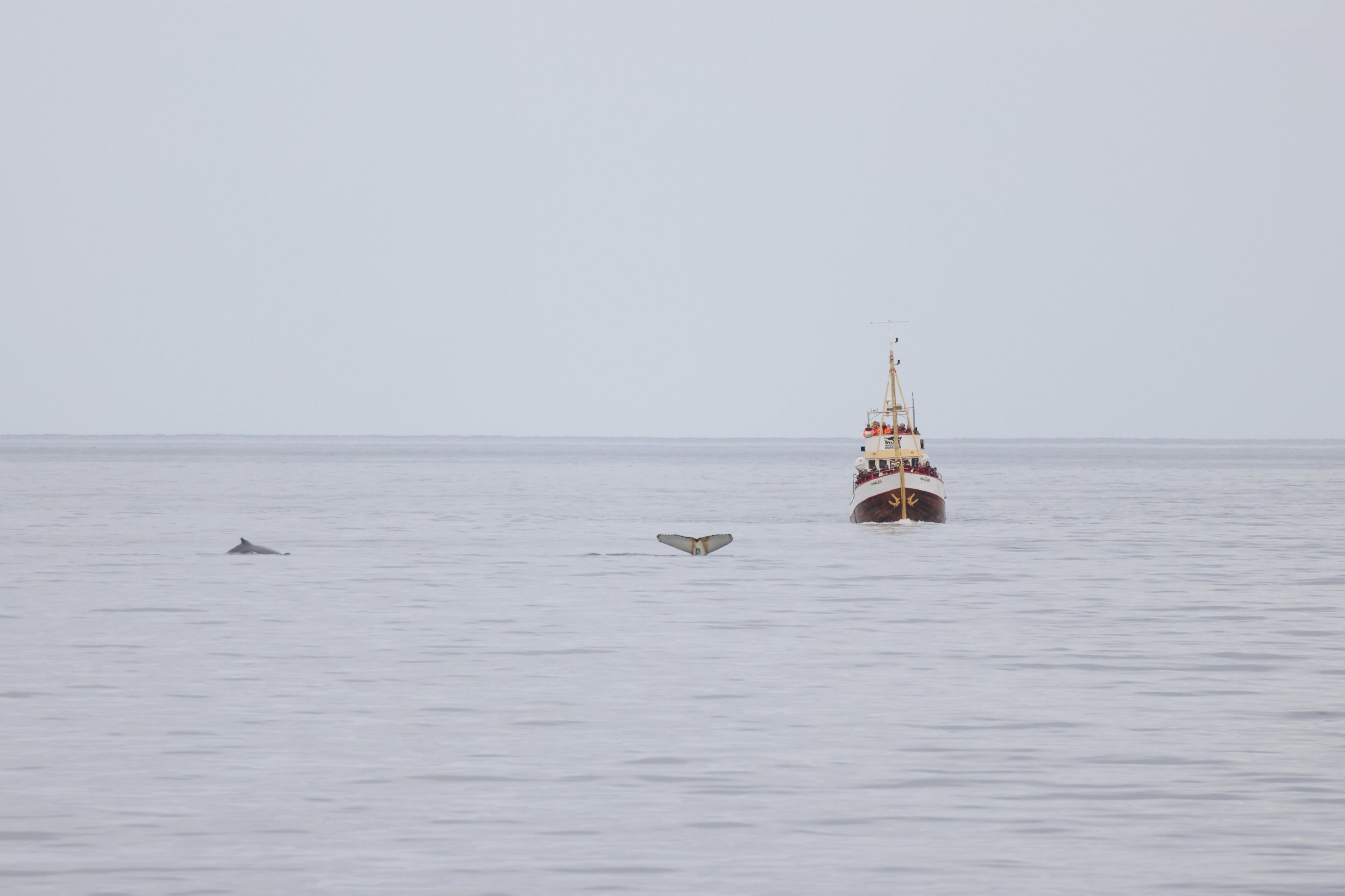Thursday, 9 October 2025
