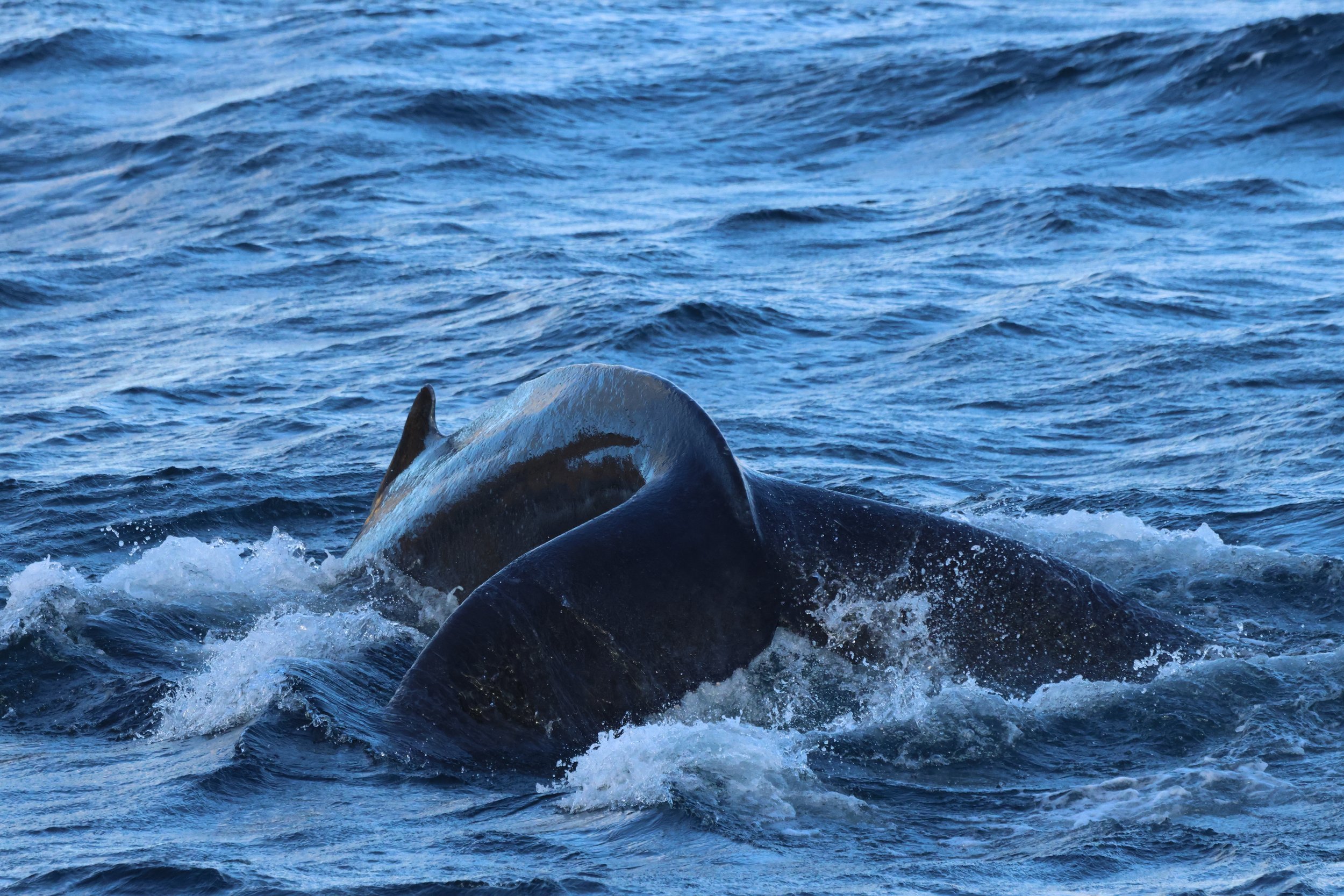 Tuesday, 14 October 2025