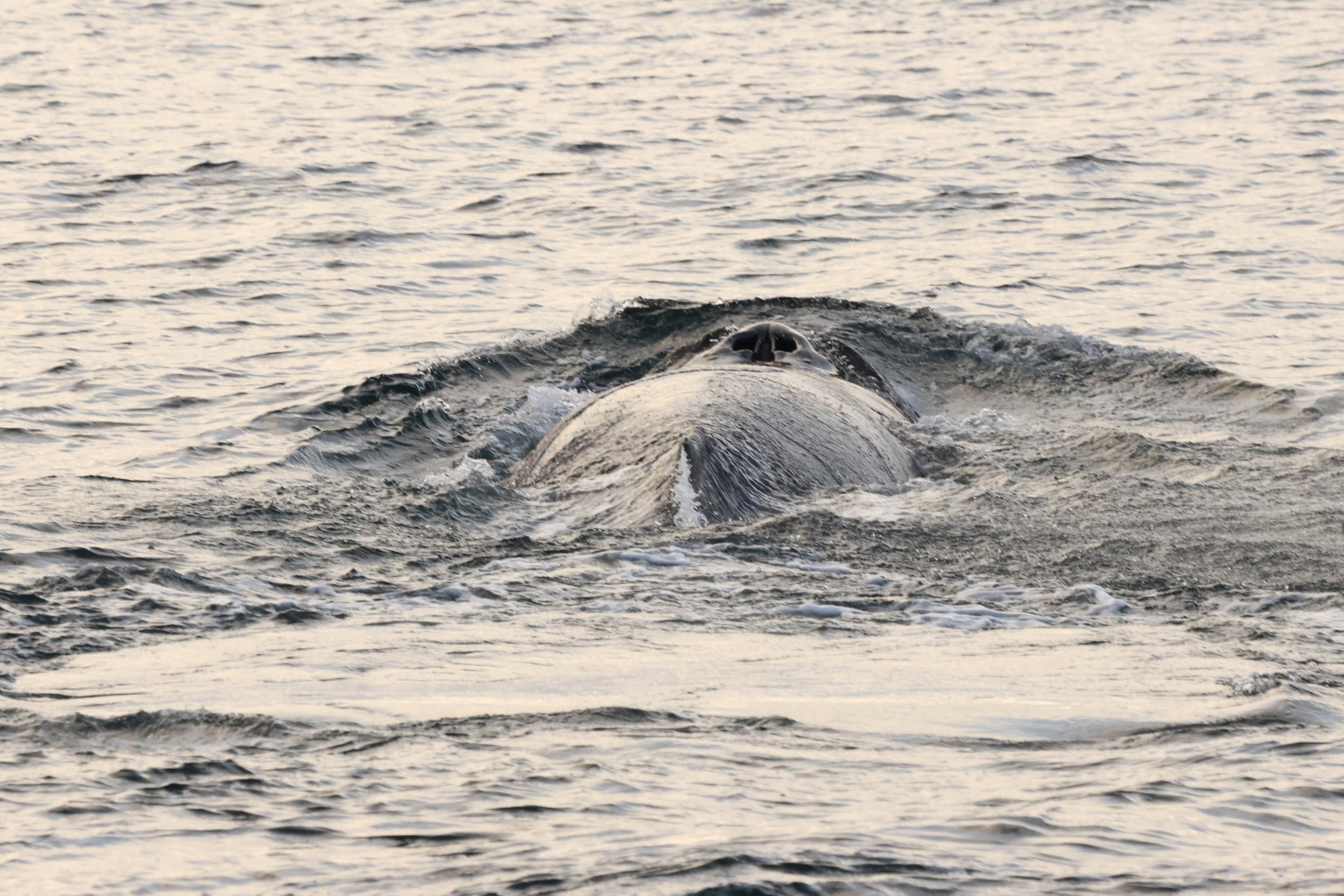 Tuesday, 28 October 2025