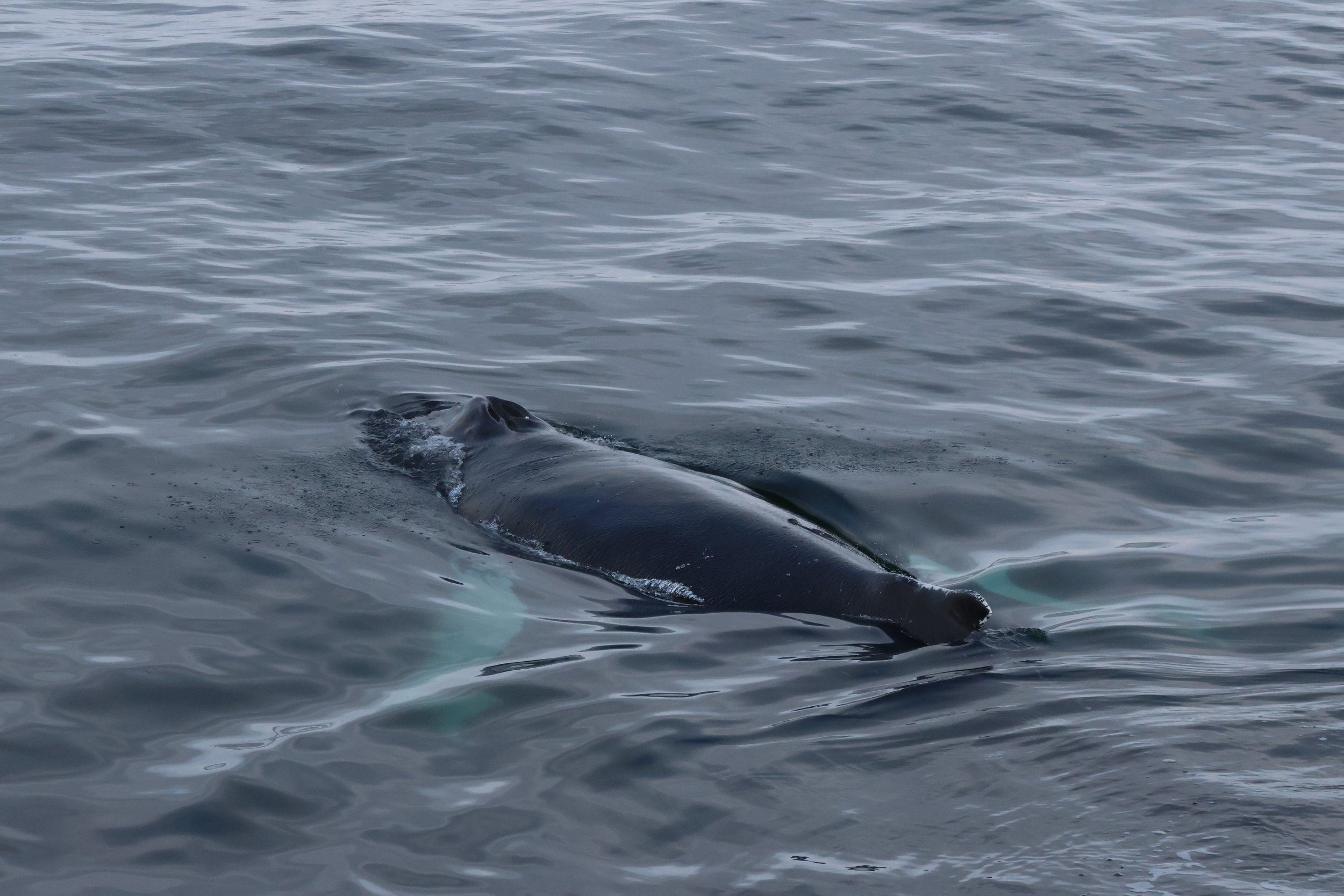 Tuesday, 28 October 2025
