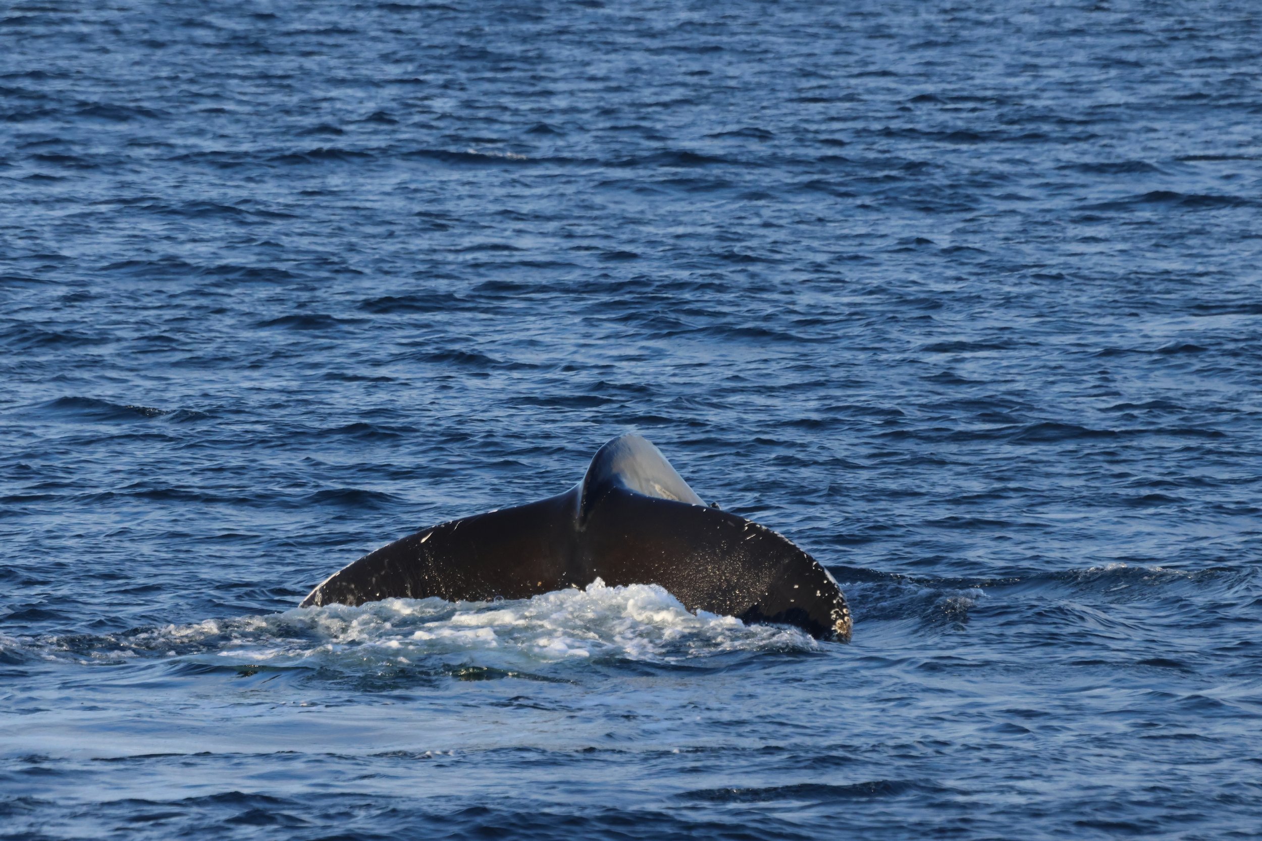 Tuesday, 28 October 2025