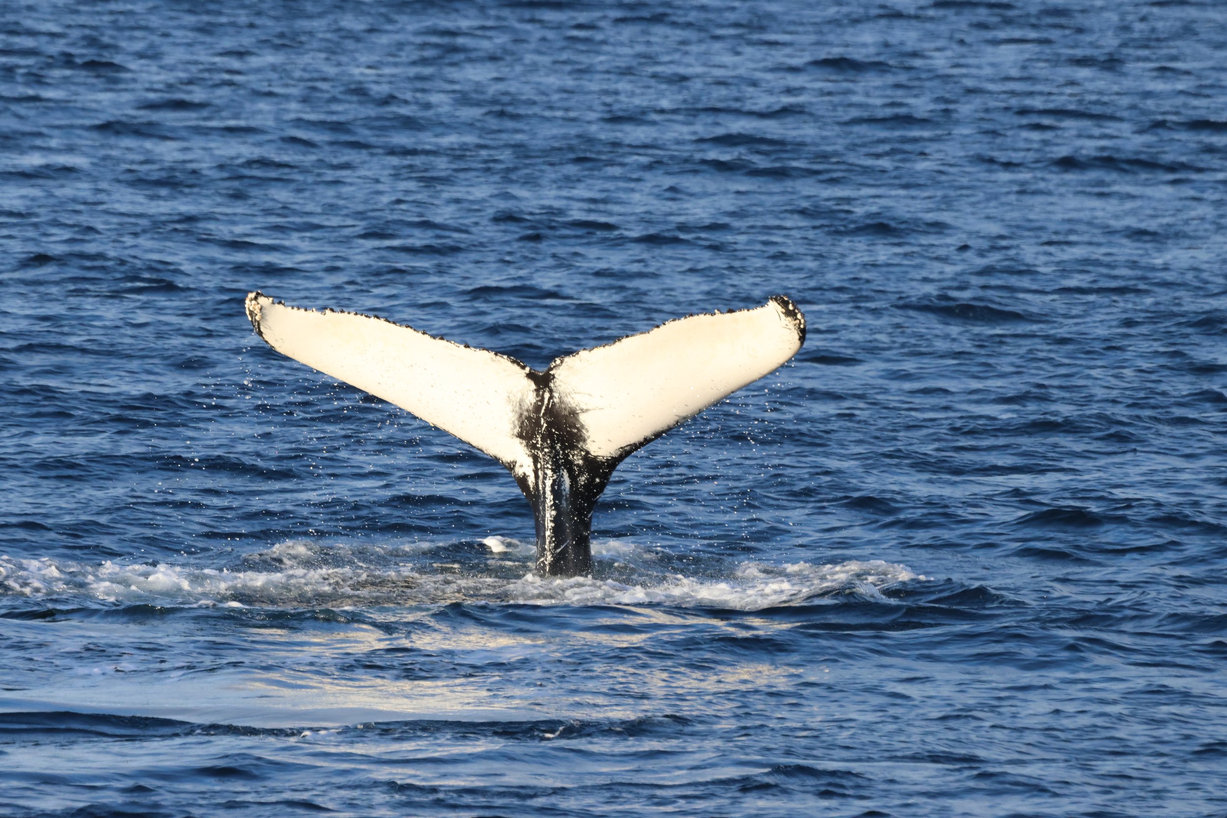 Tuesday, 28 October 2025