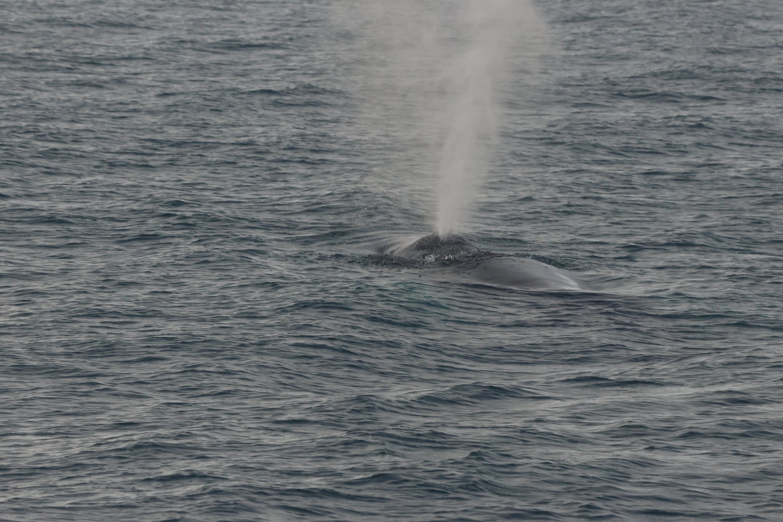 Tuesday, 4 November 2025