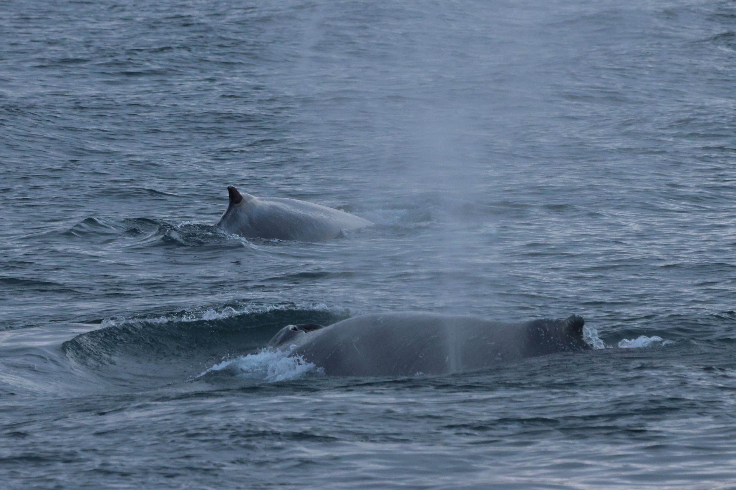 Tuesday, 4 November 2025