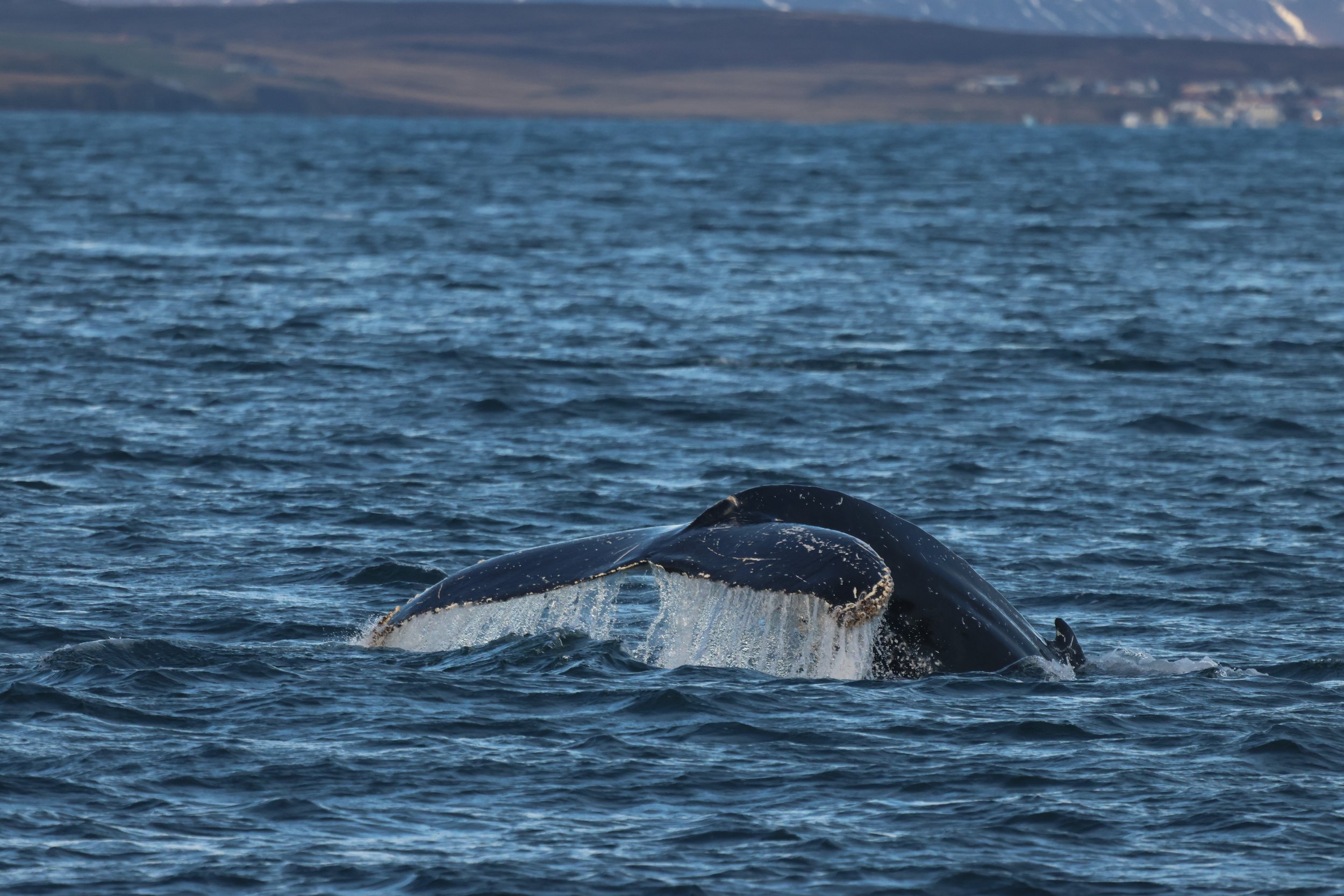 Wednesday, 5 November 2025