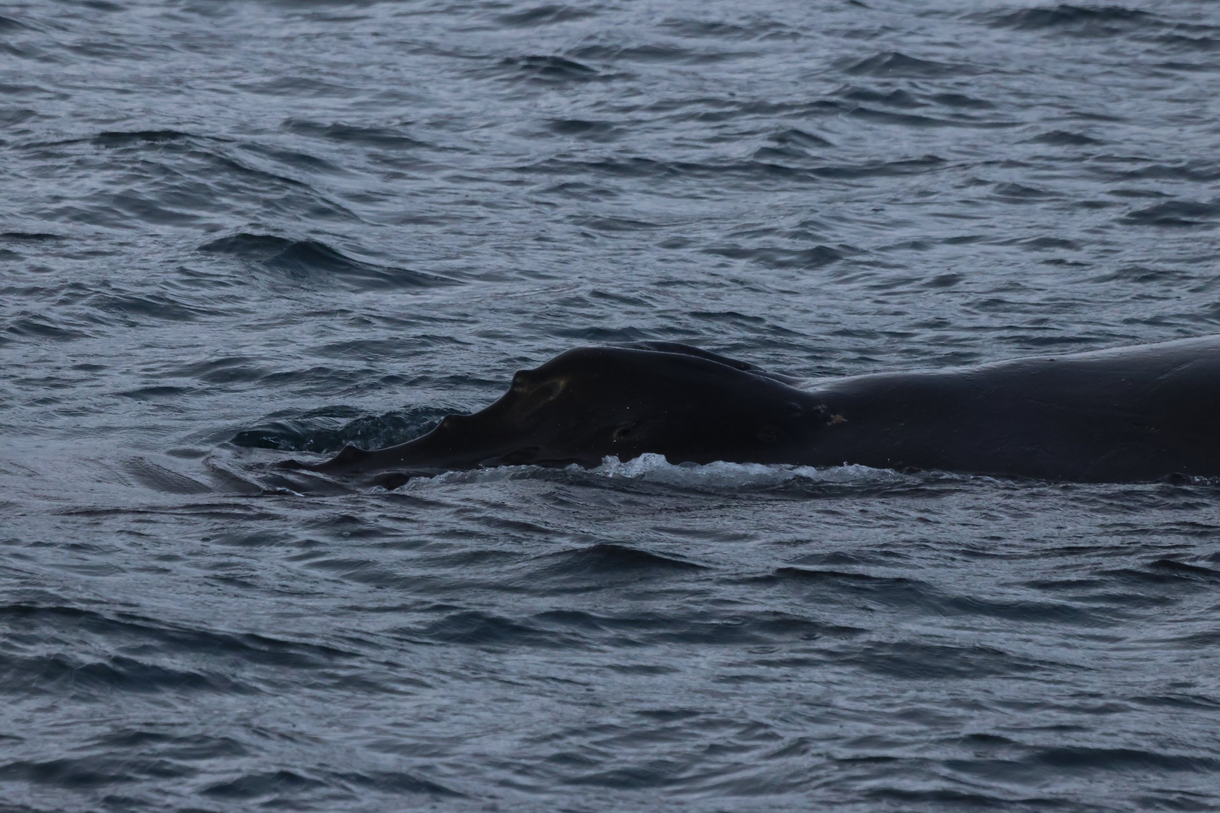 Tuesday, 18 November 2025