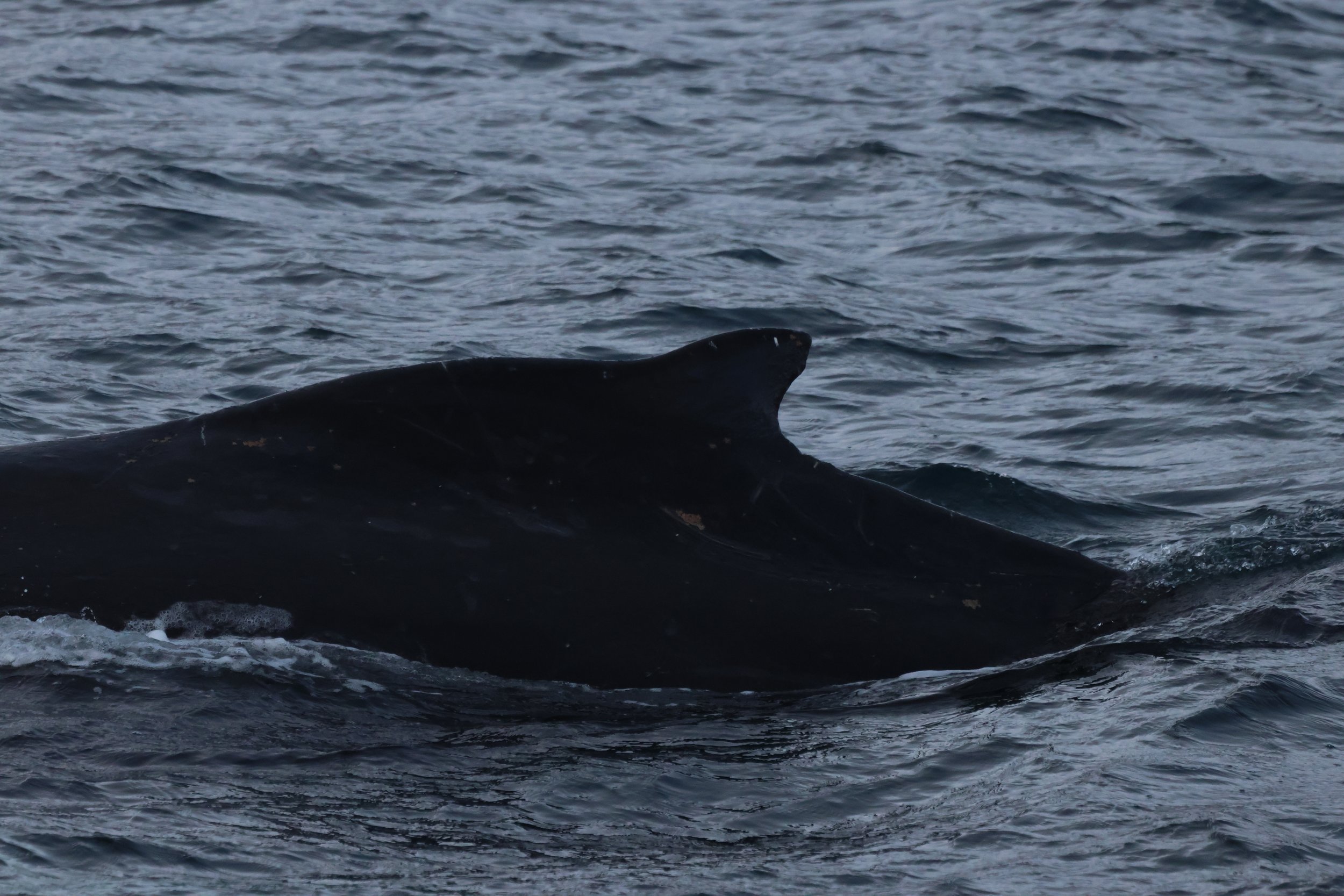 Tuesday, 18 November 2025