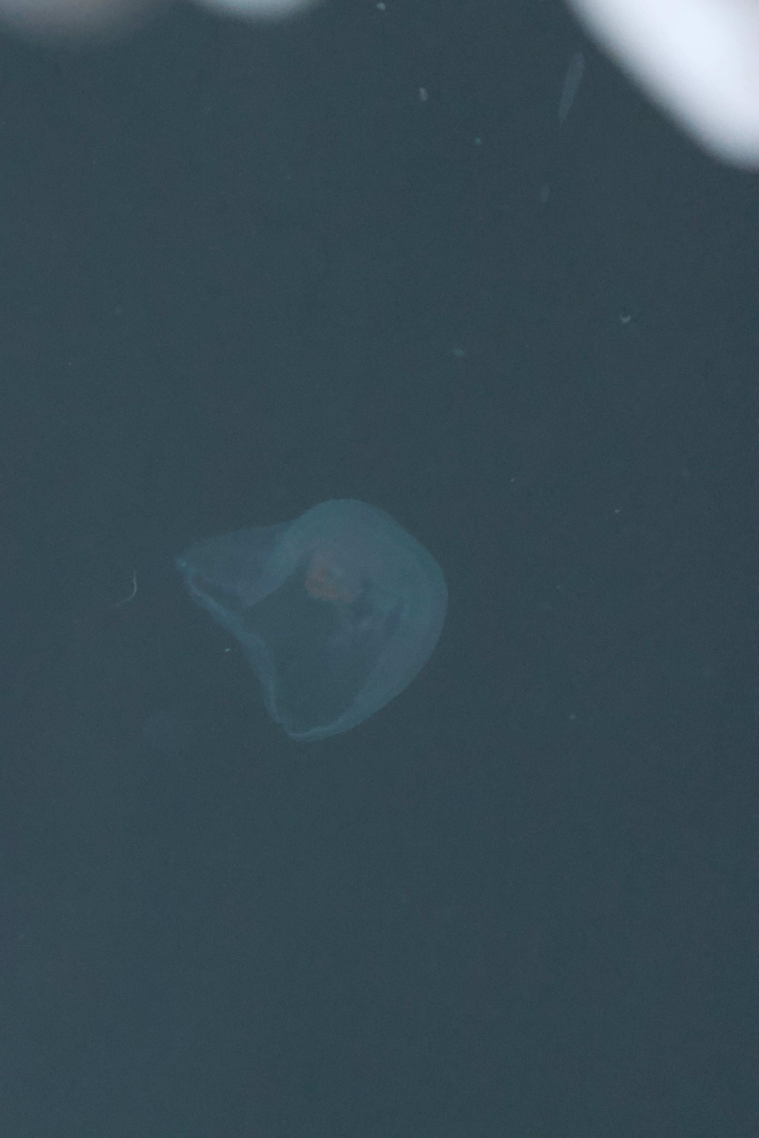 Tuesday, 18 November 2025