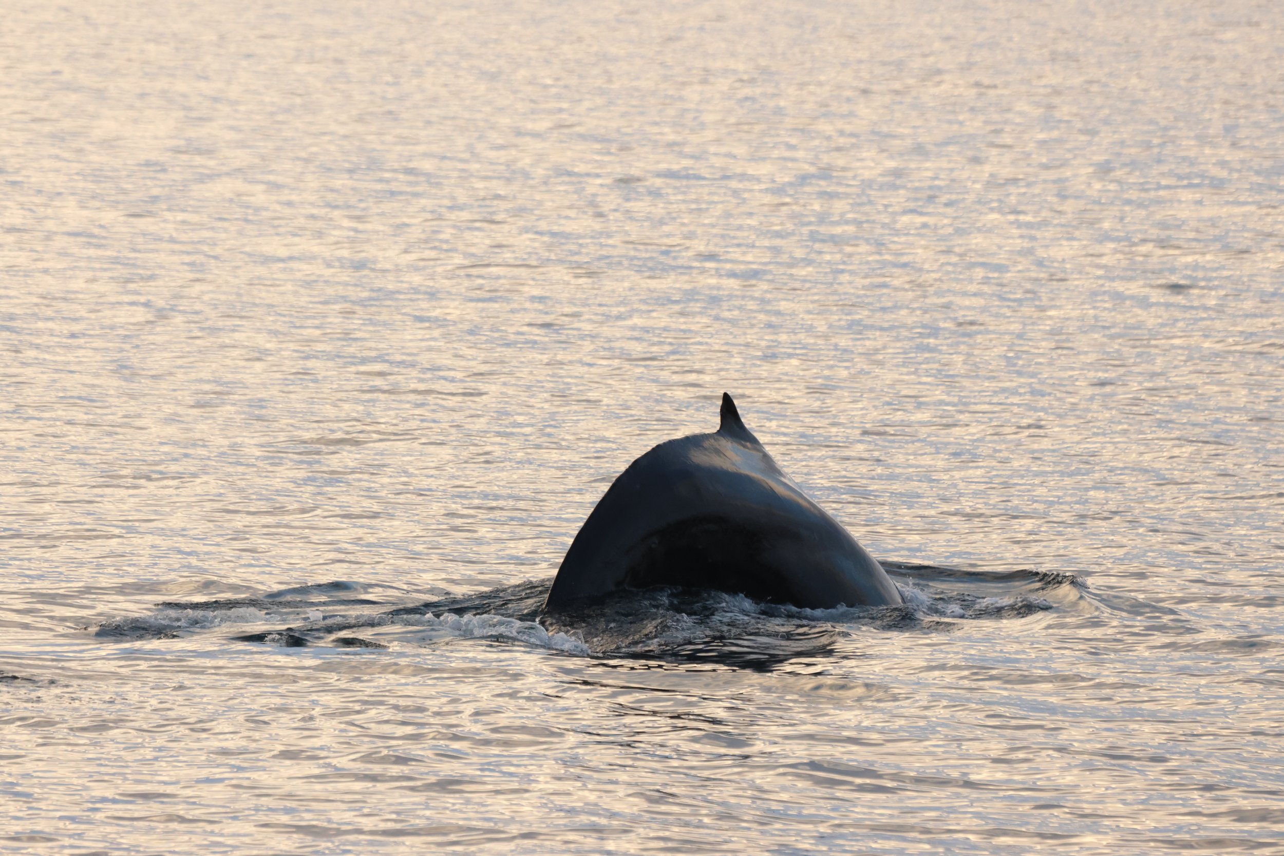 Wednesday, 19 November 2025