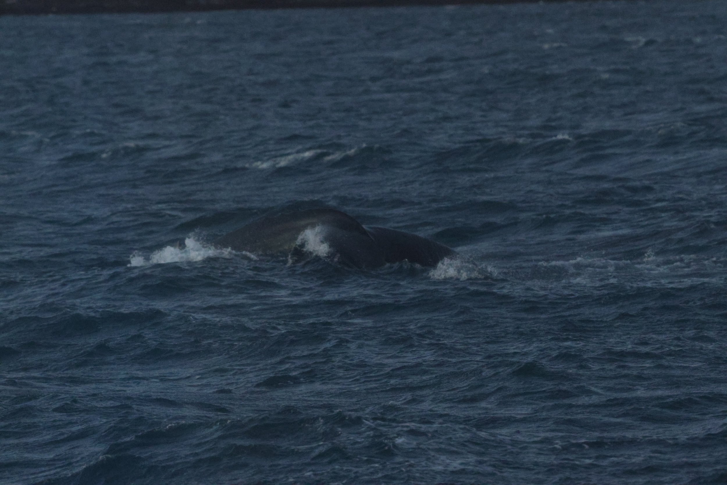Tuesday, 30 December 2025