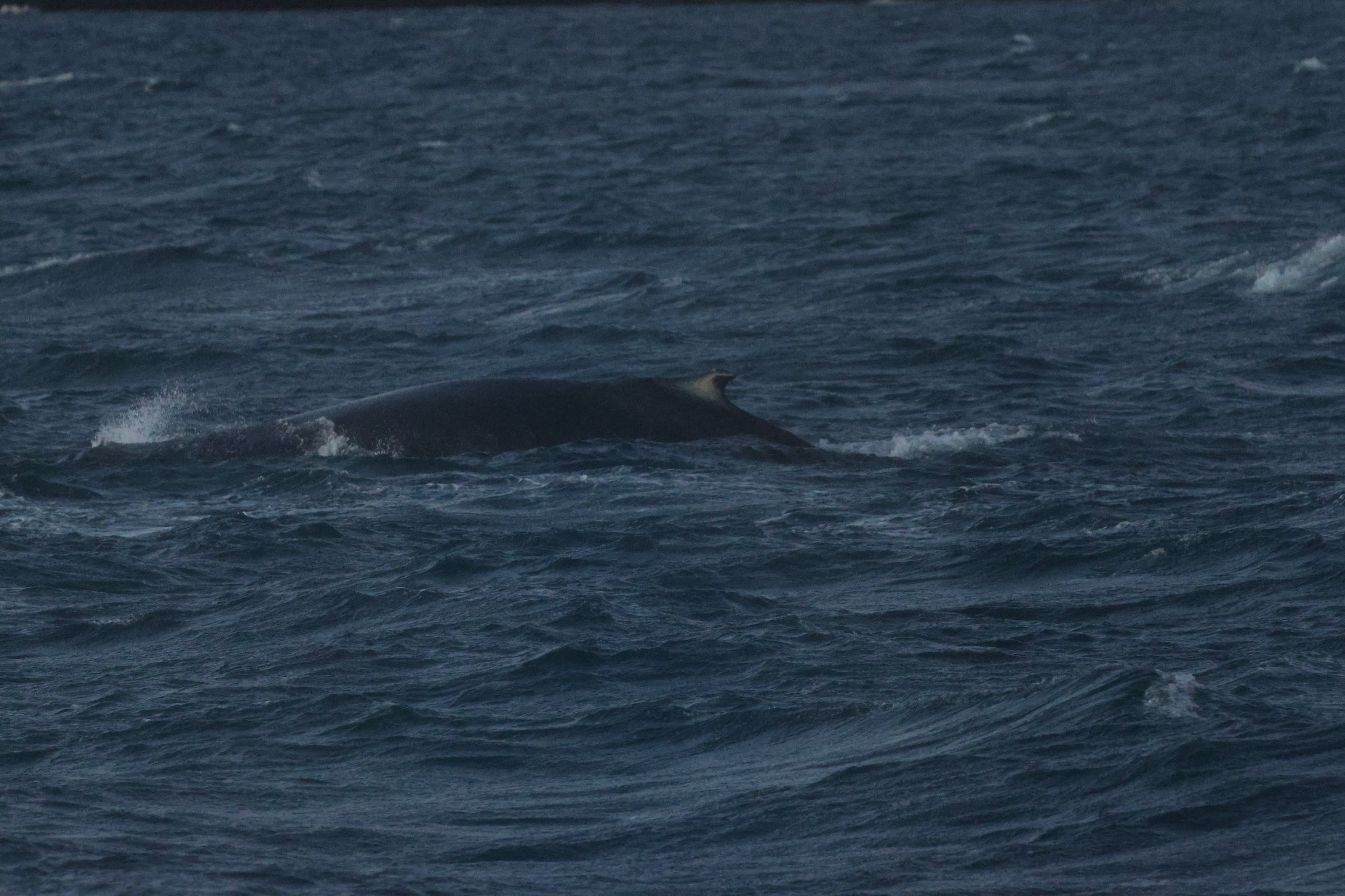 Tuesday, 30 December 2025