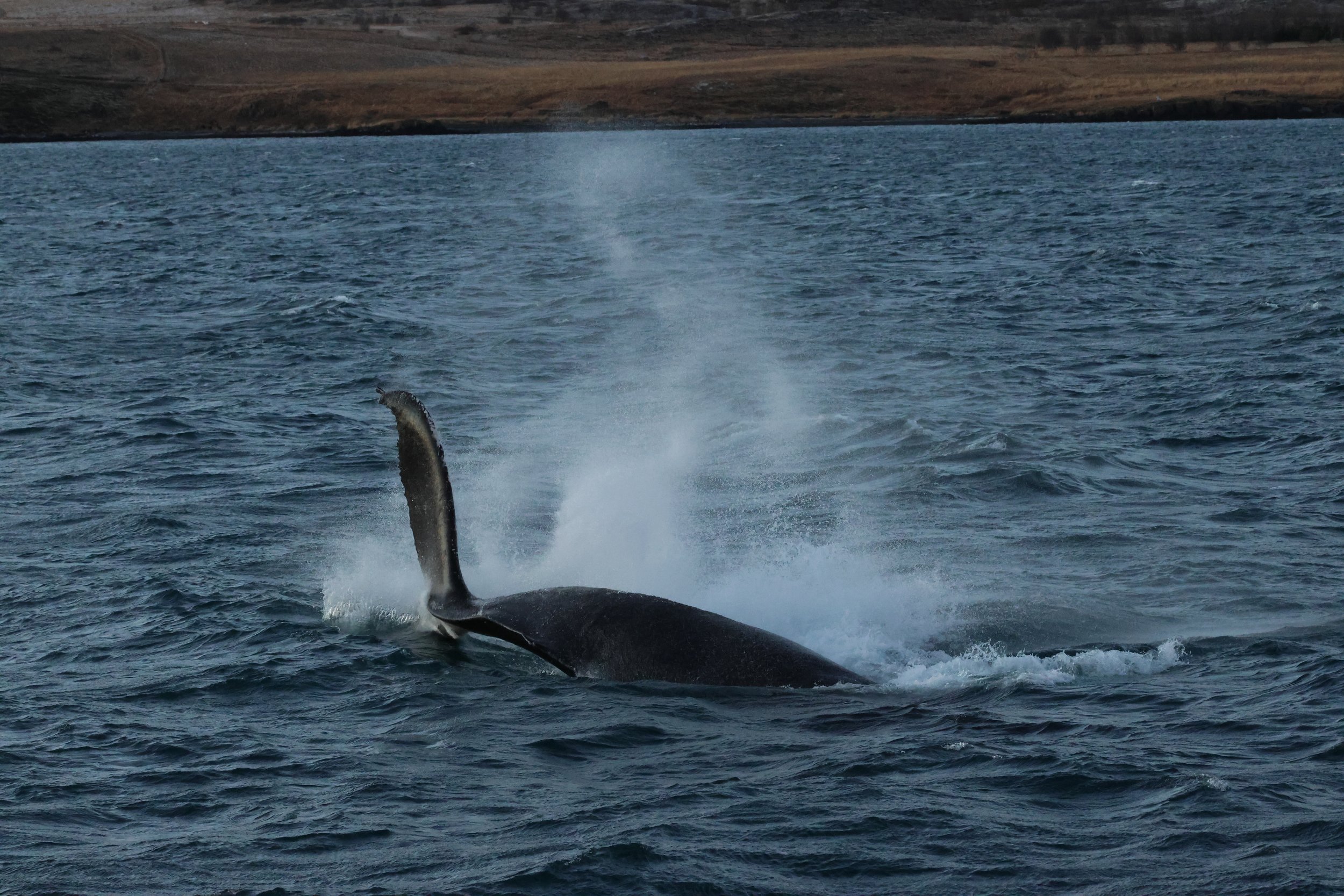 Tuesday, 30 December 2025