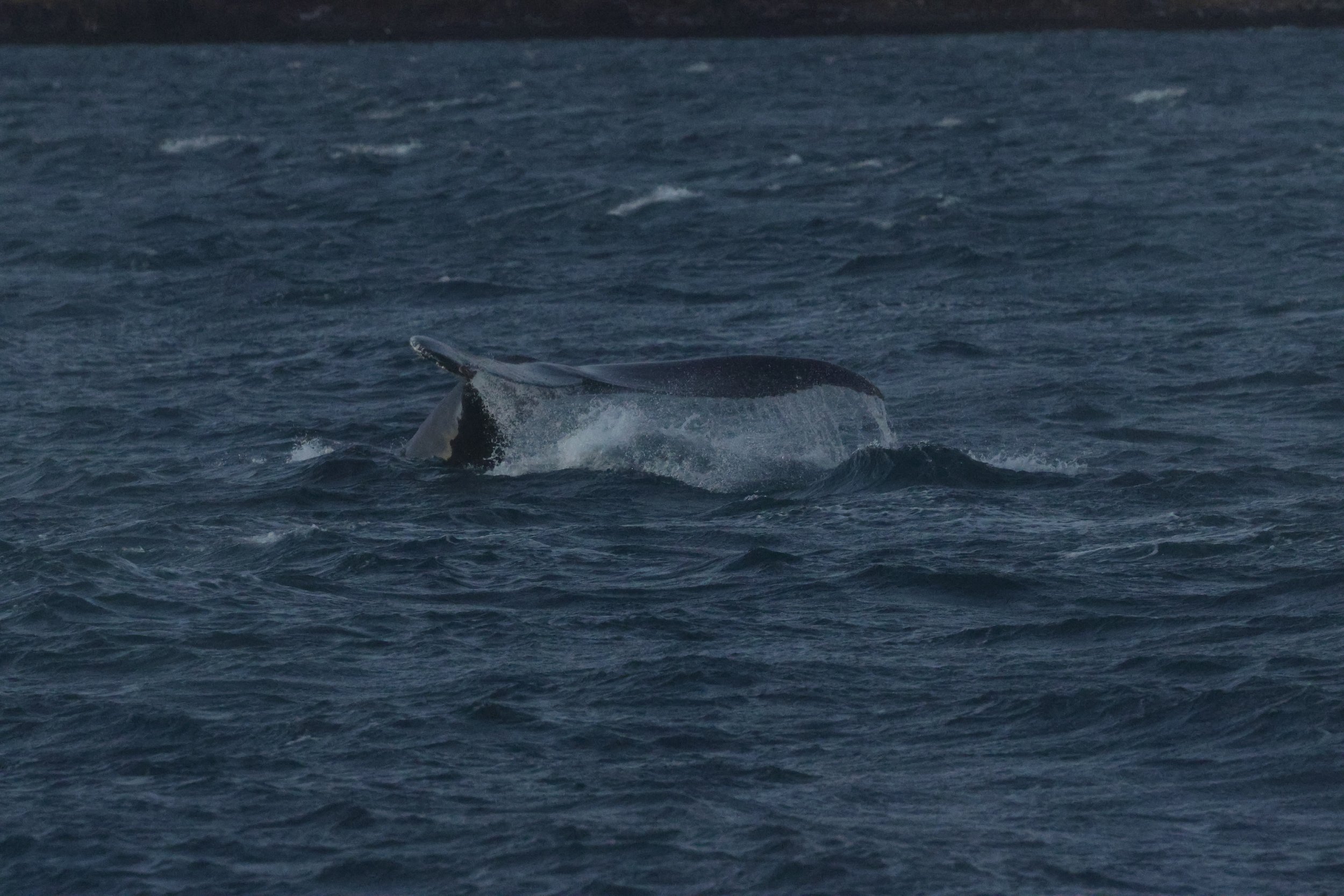 Tuesday, 30 December 2025