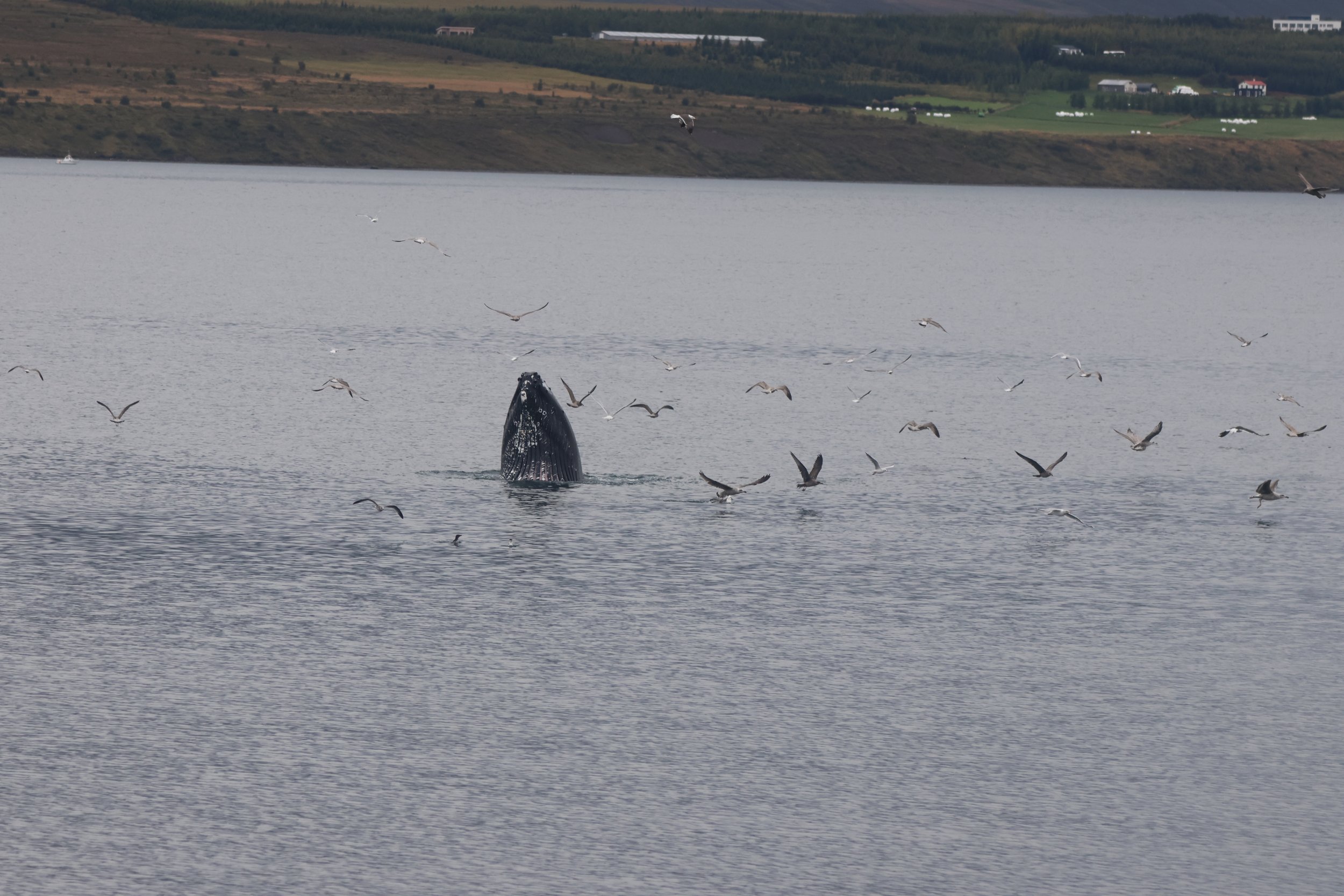 Saturday, 30th August 2025