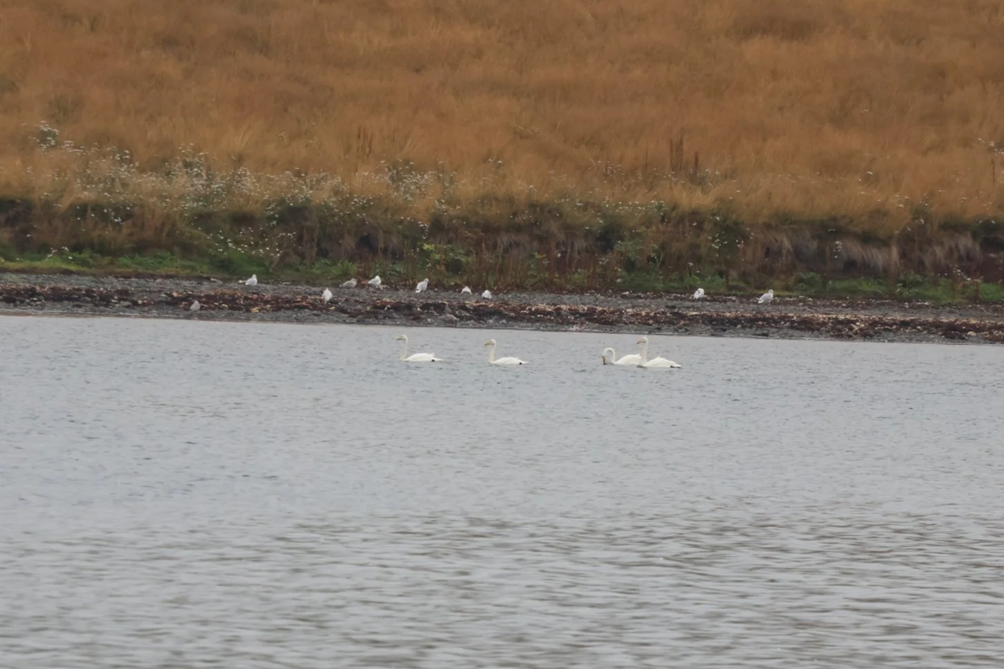 Saturday, 30th August 2025