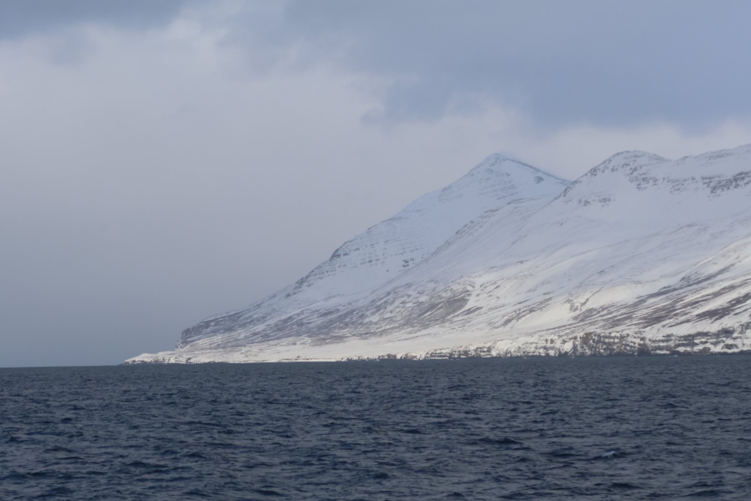 Monday, 3 March 2025