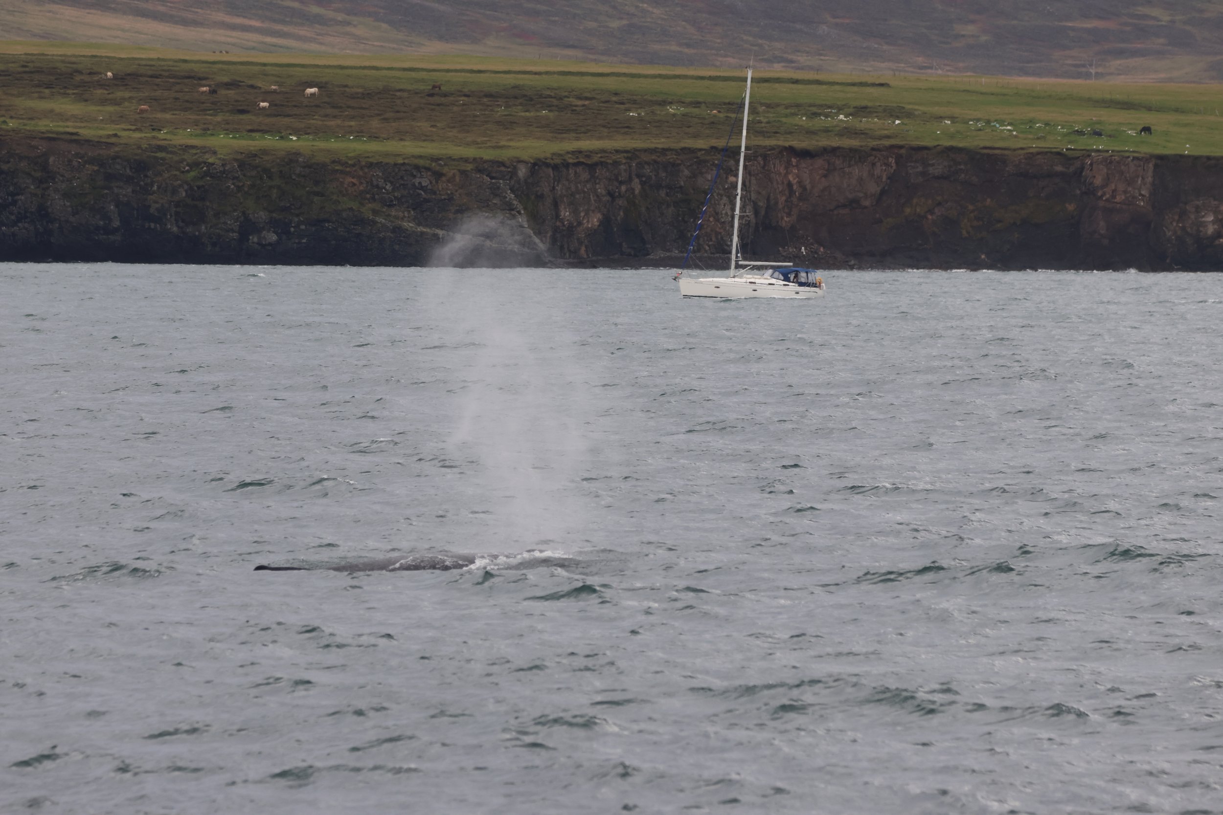 Sunday, 14th September 2025
