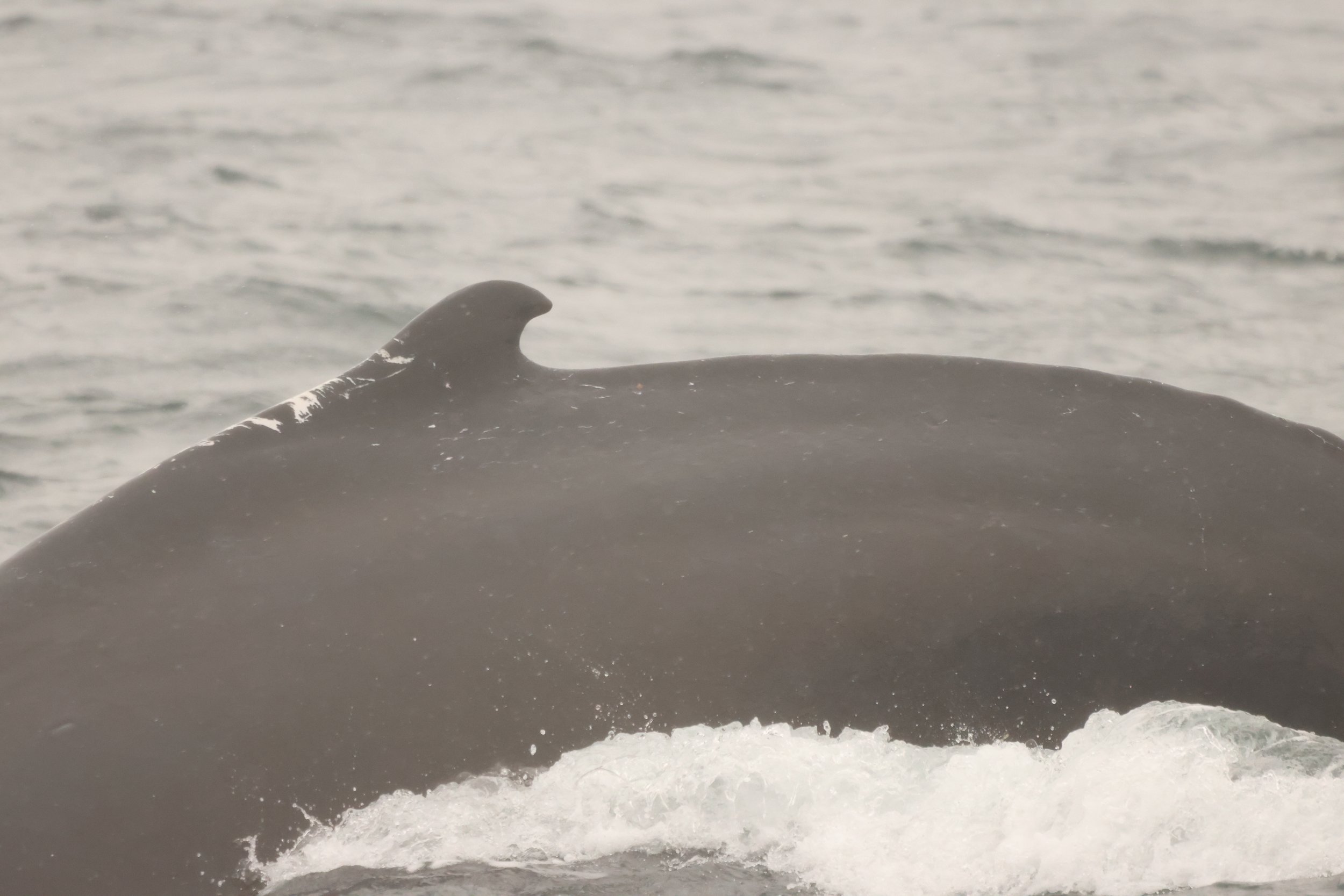Tuesday, 7 October 2025