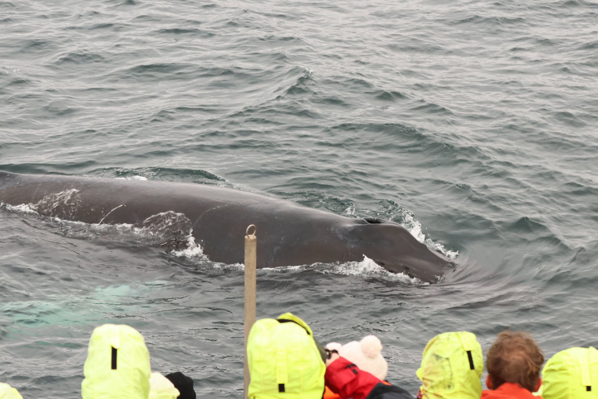 Tuesday, 7 October 2025