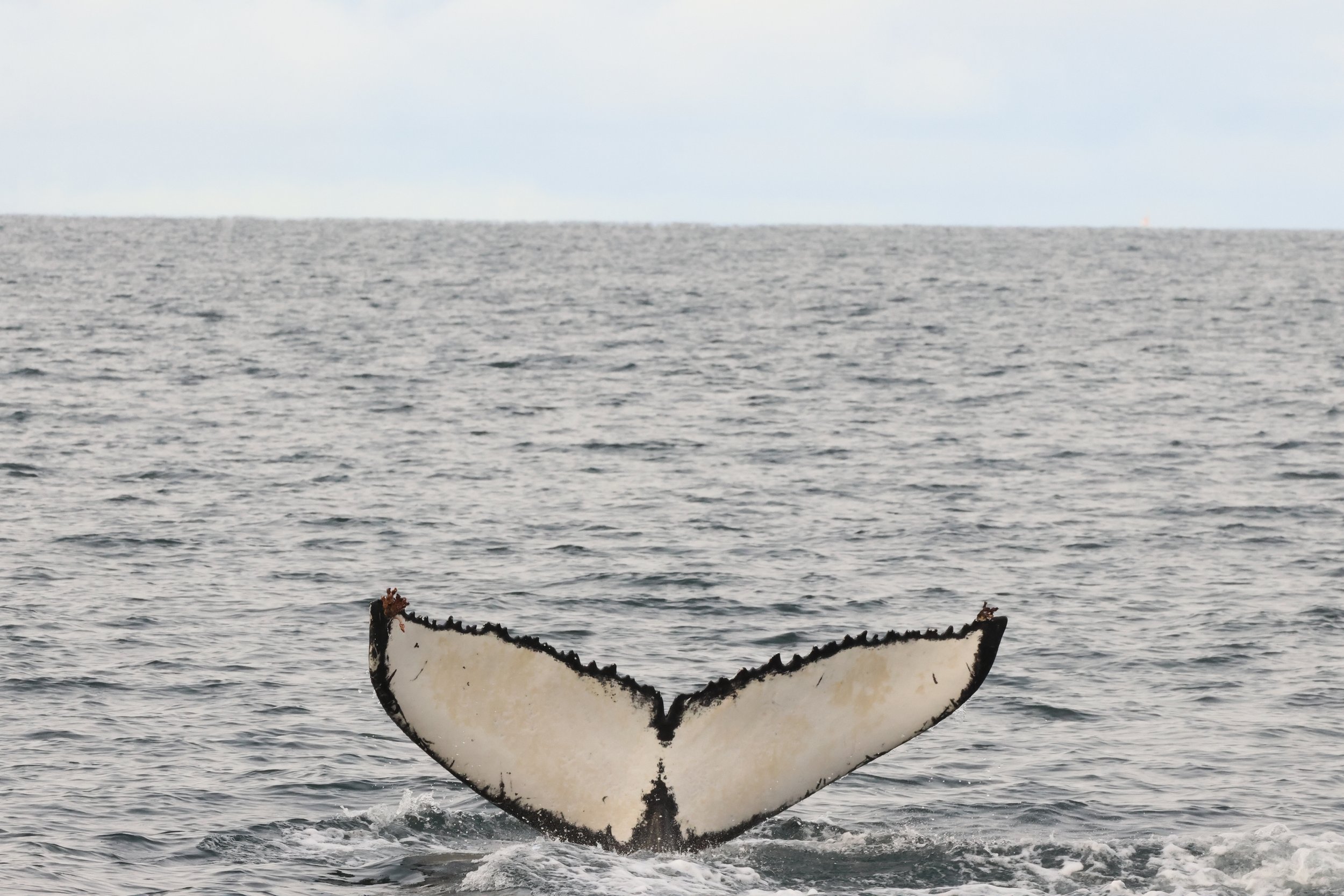 Tuesday, 7 October 2025
