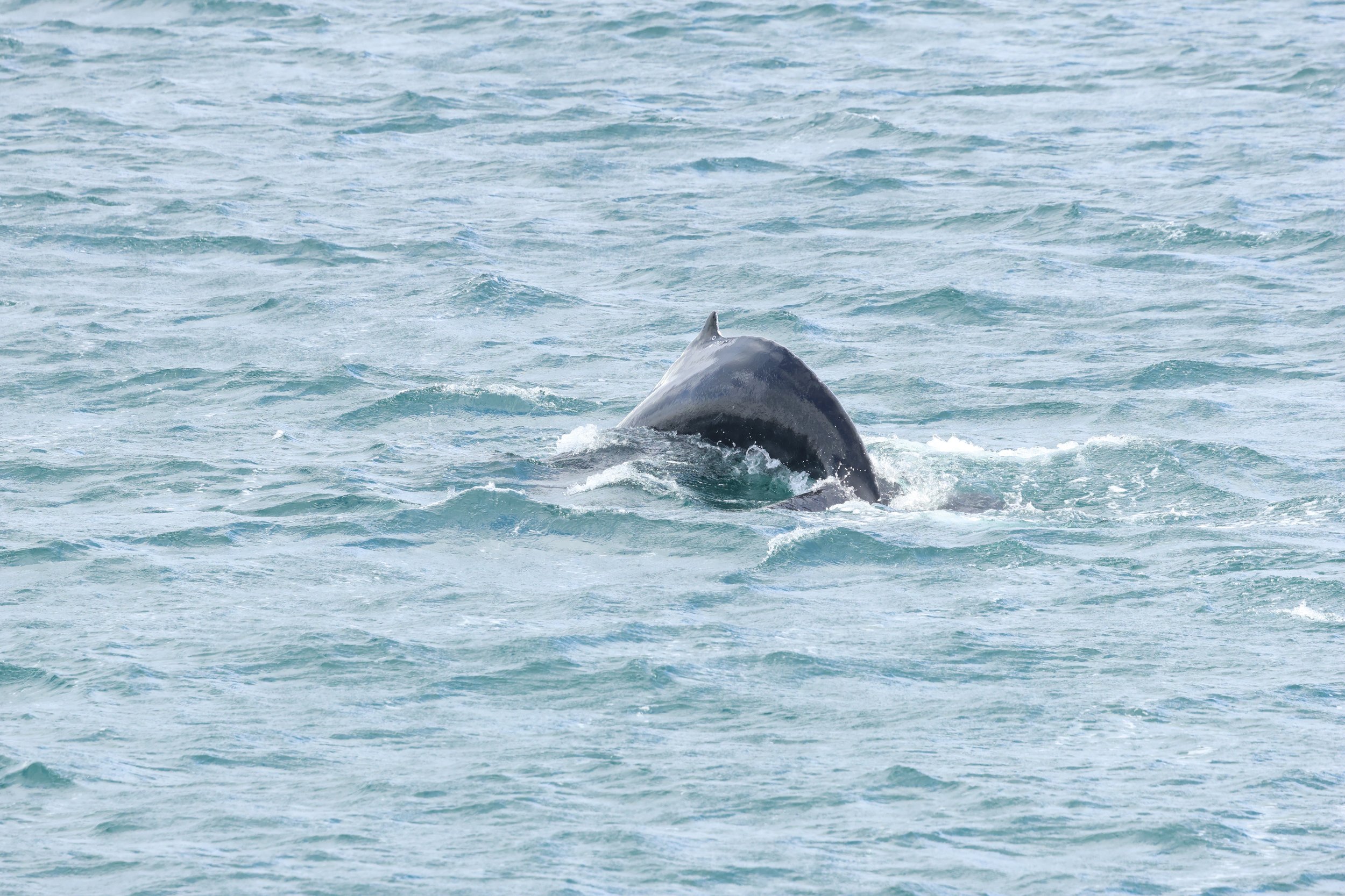 Friday, 26th June 2026