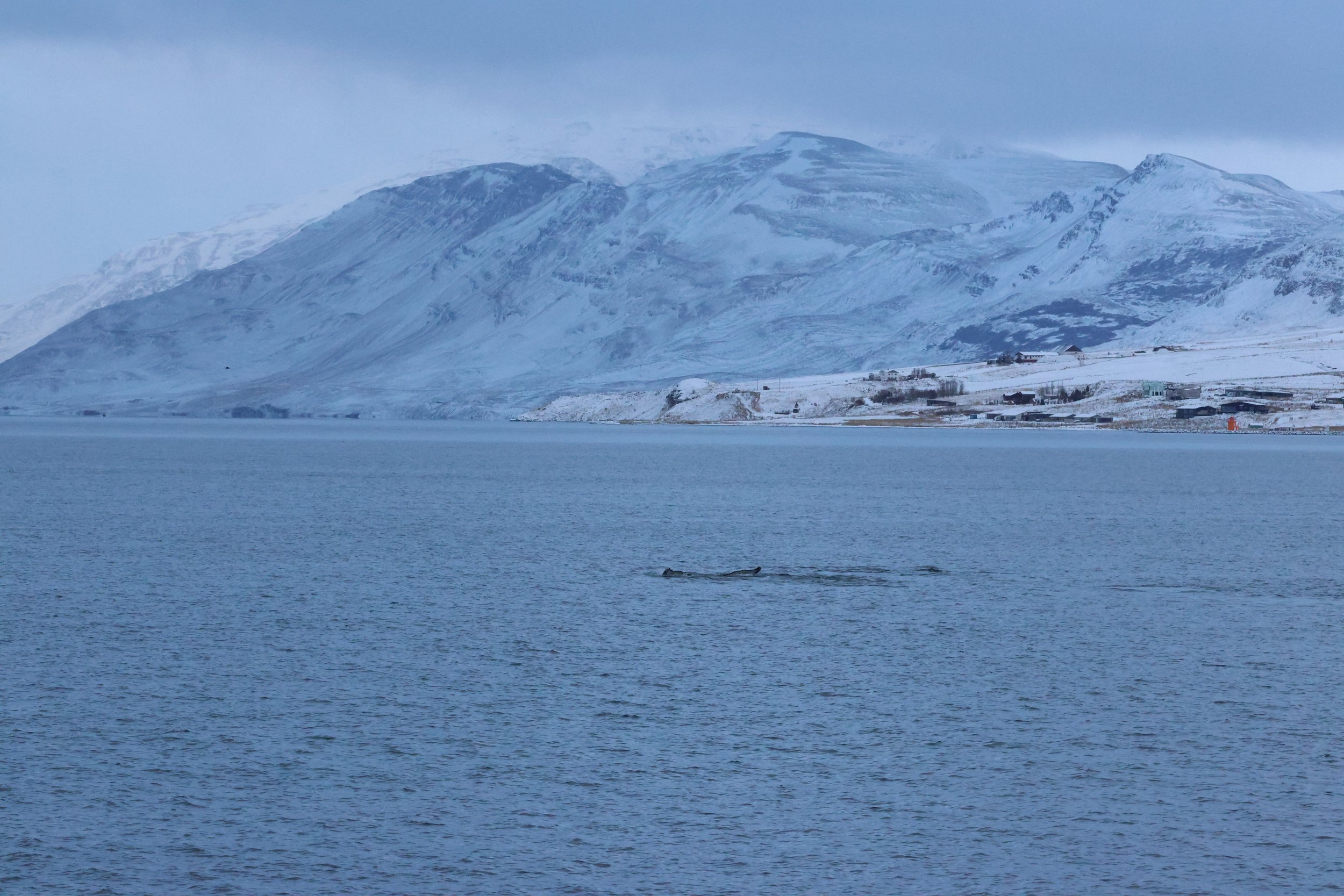 Thursday, 8 January 2026