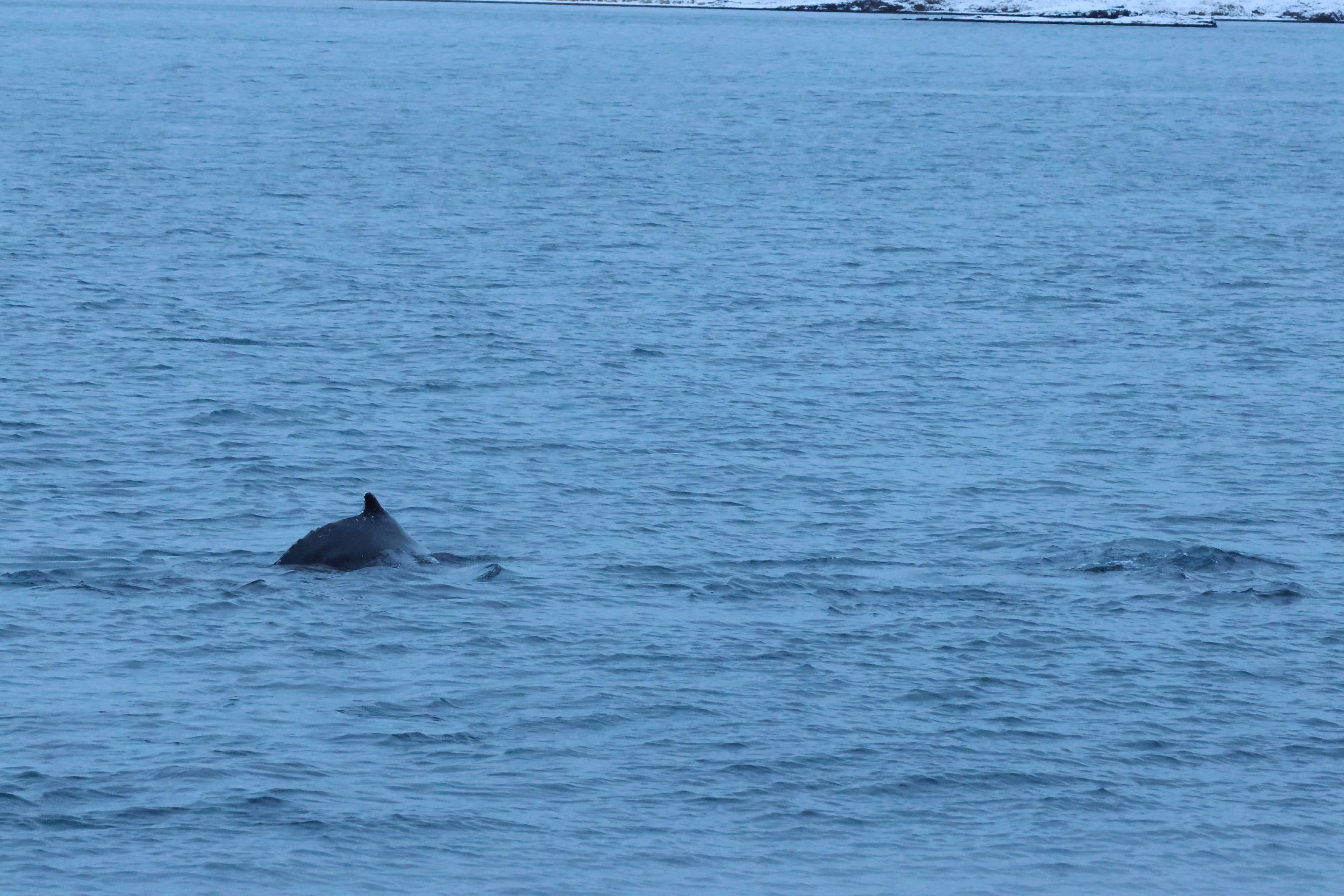 Thursday, 8 January 2026