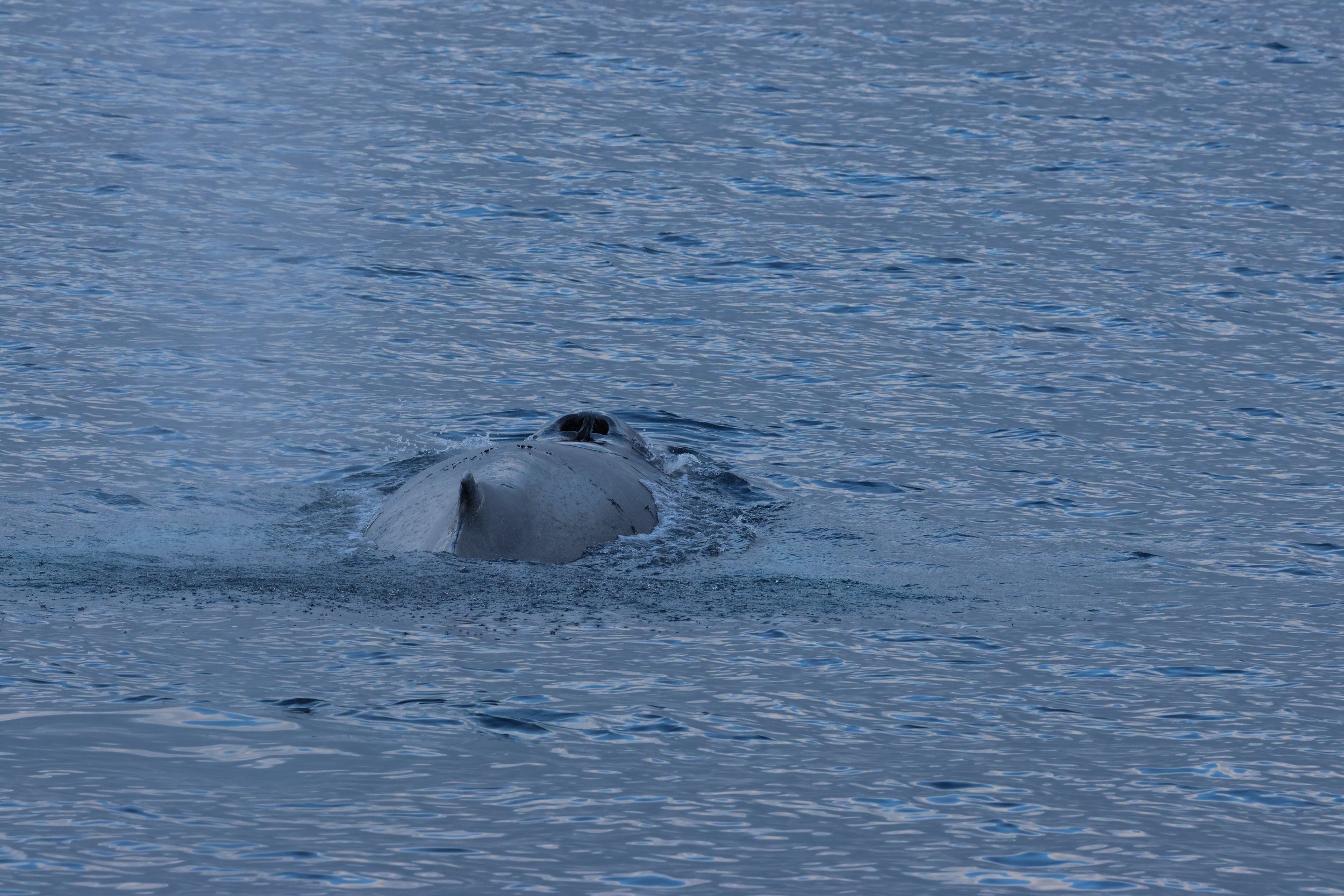 Sunday, 8 February 2026