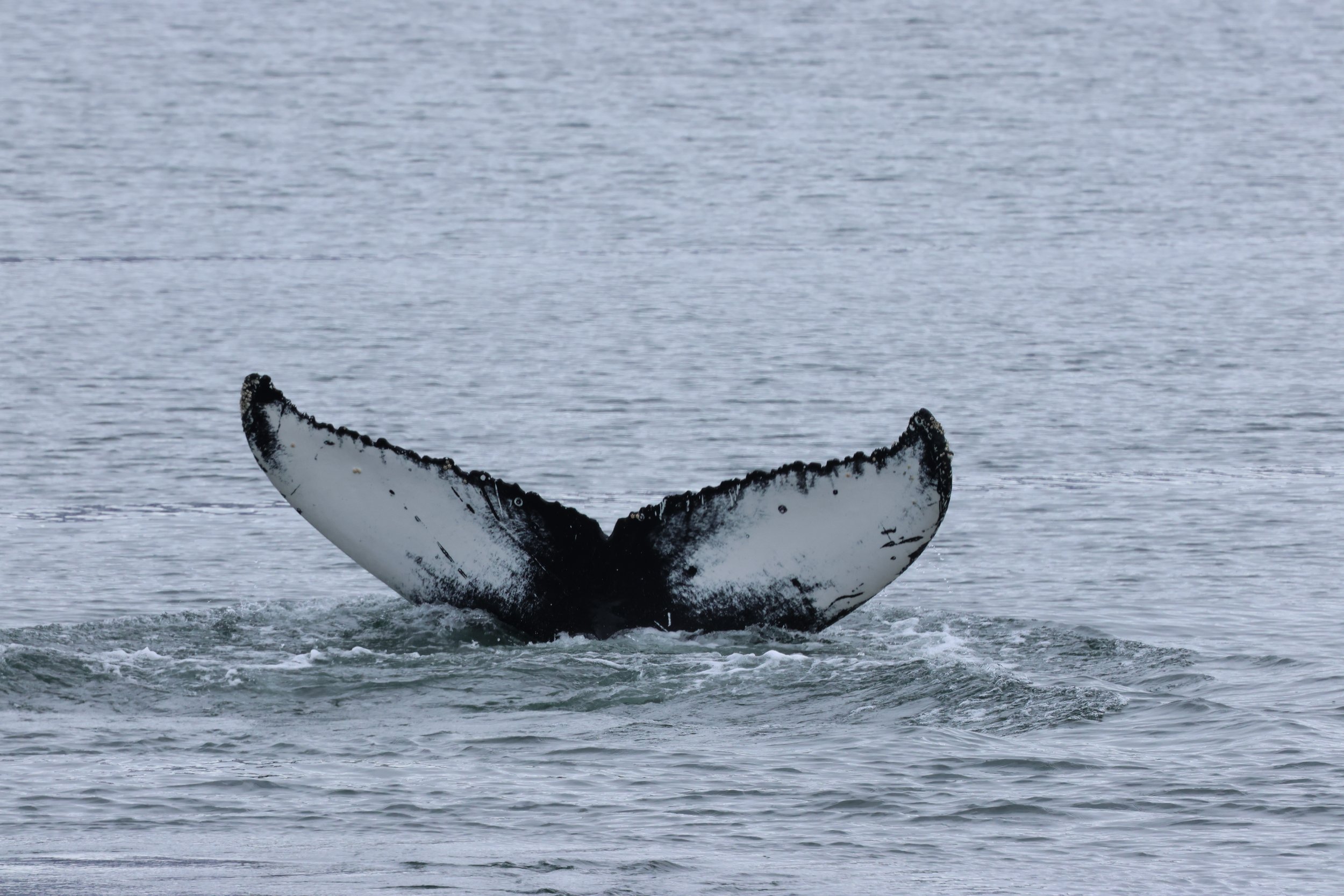 Sunday, 26 April 2026