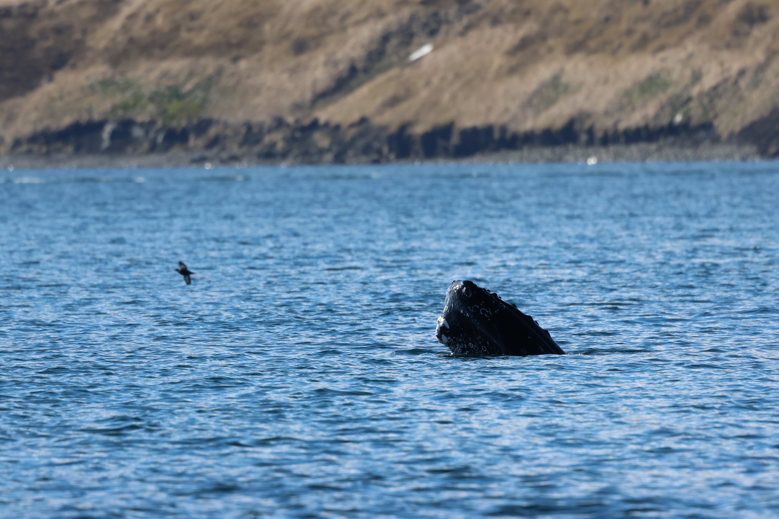 Sunday, 17th May 2026