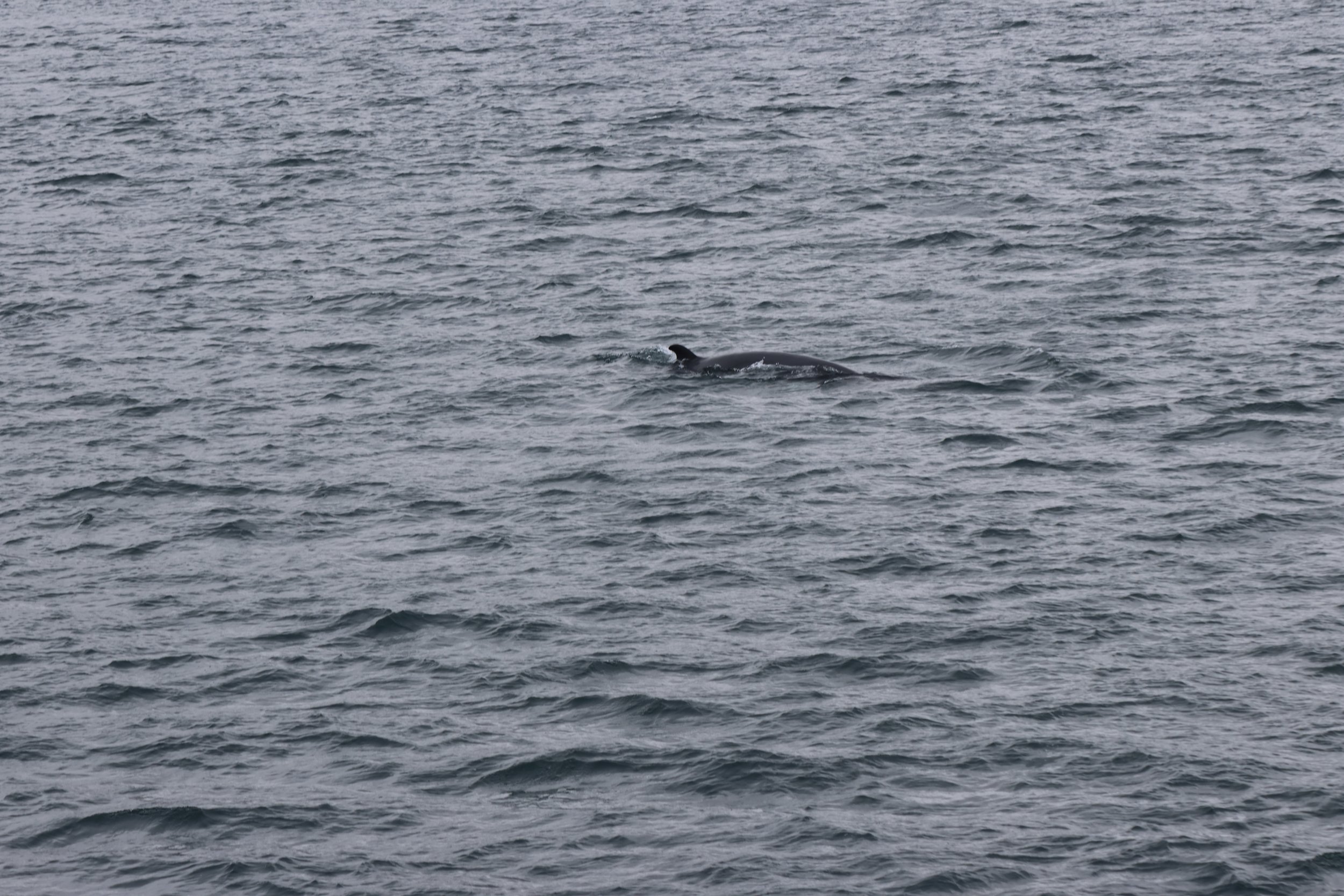Saturday, 30th May 2026
