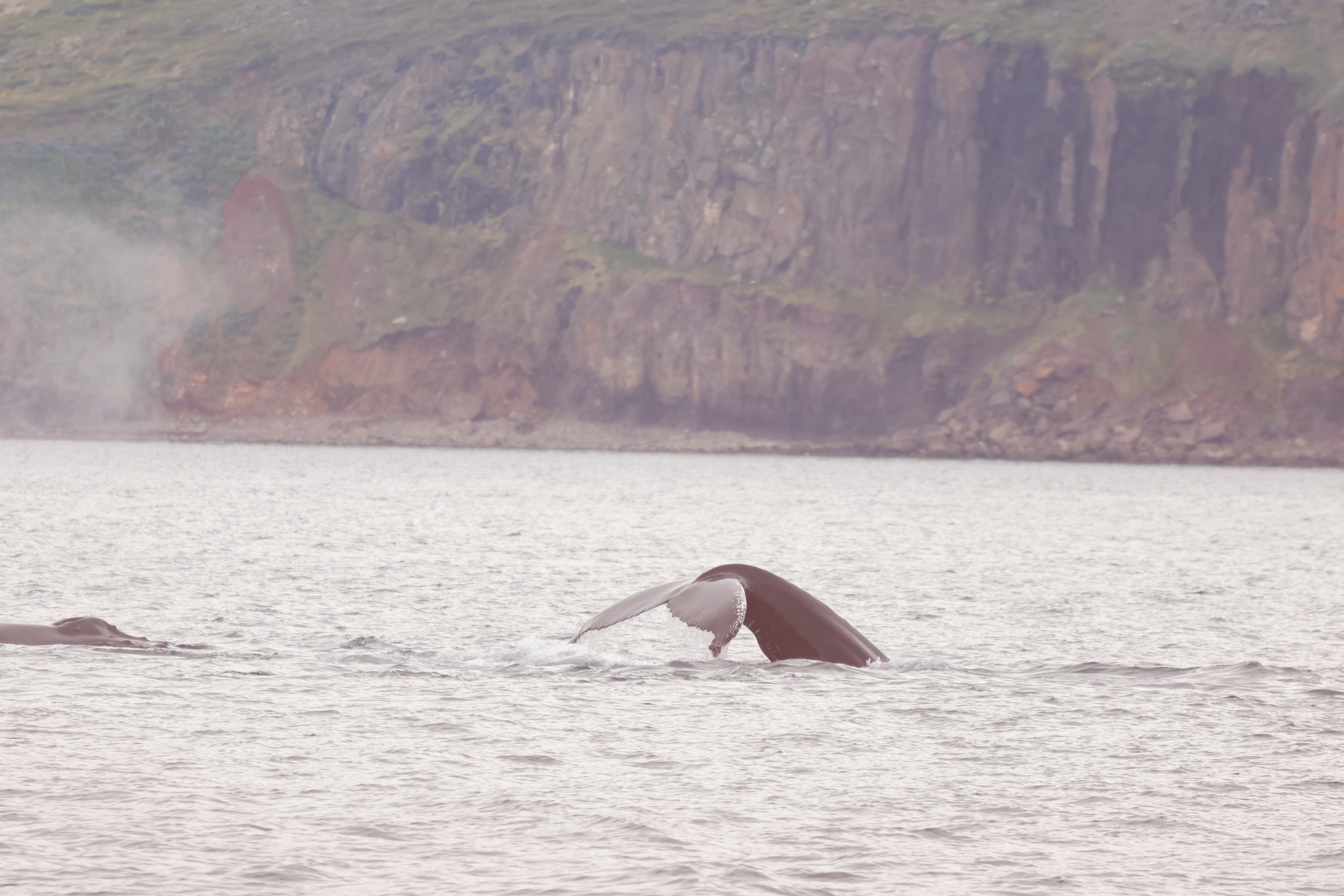 Wednesday, 3rd June 2026