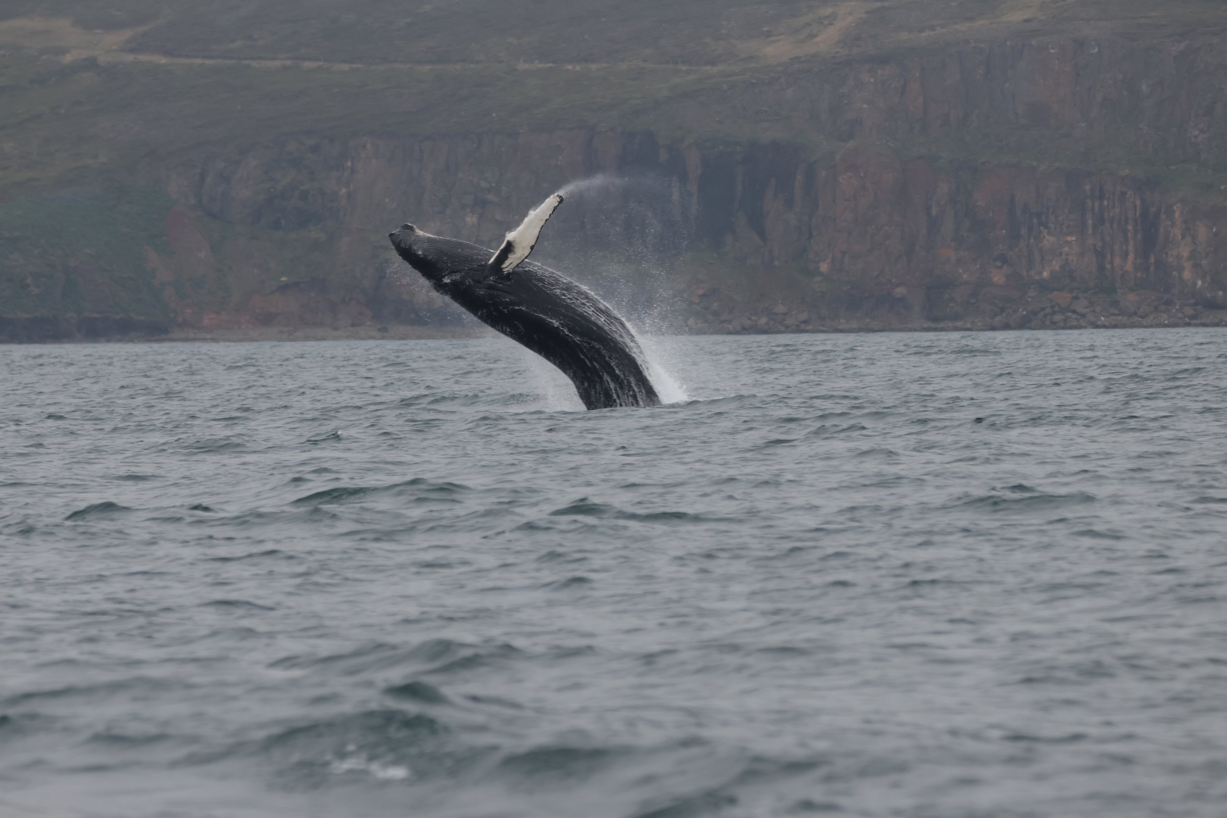 Wednesday, 3rd June 2026